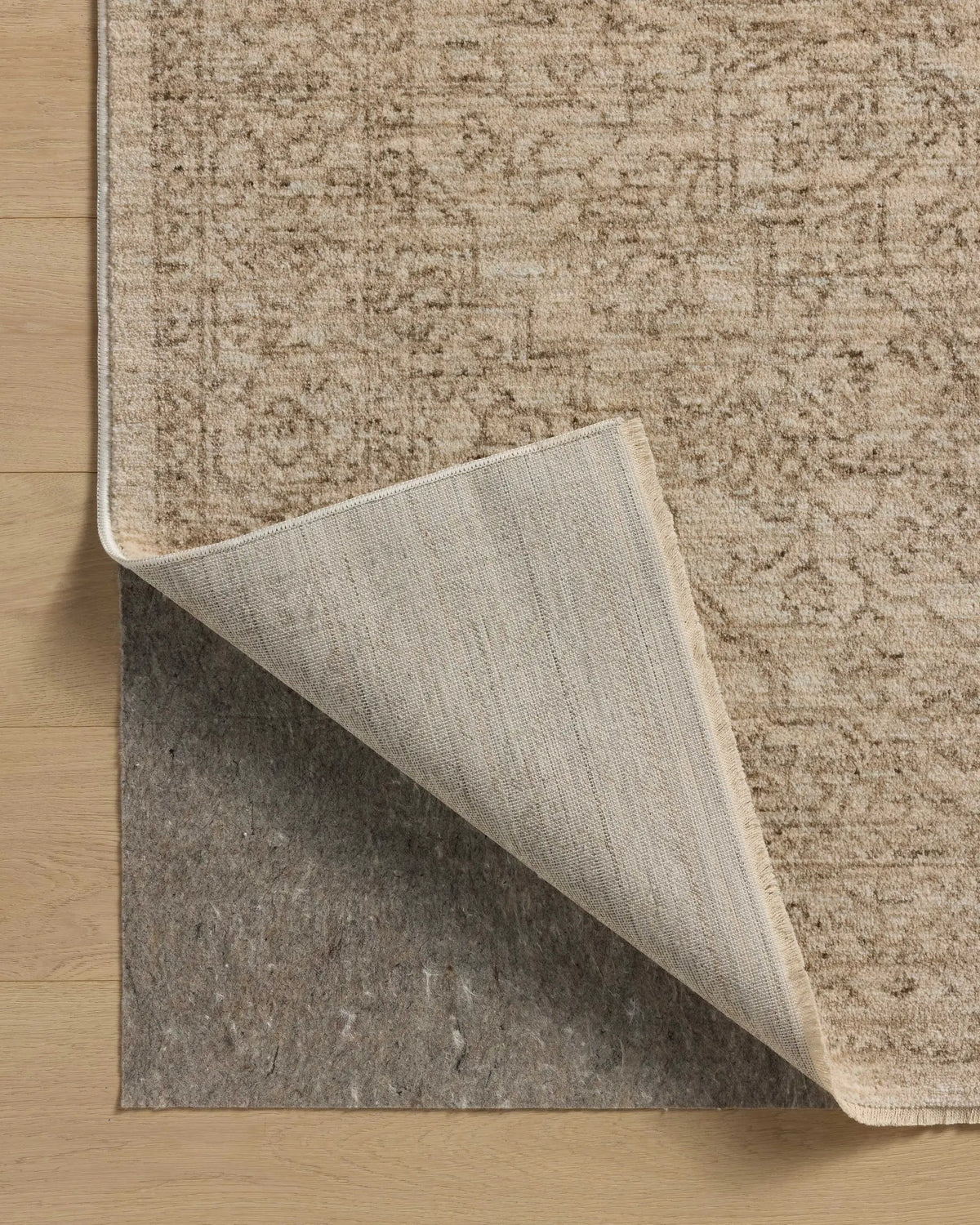 Newman NEW-01 Taupe / Bone Area Rug by Loloi