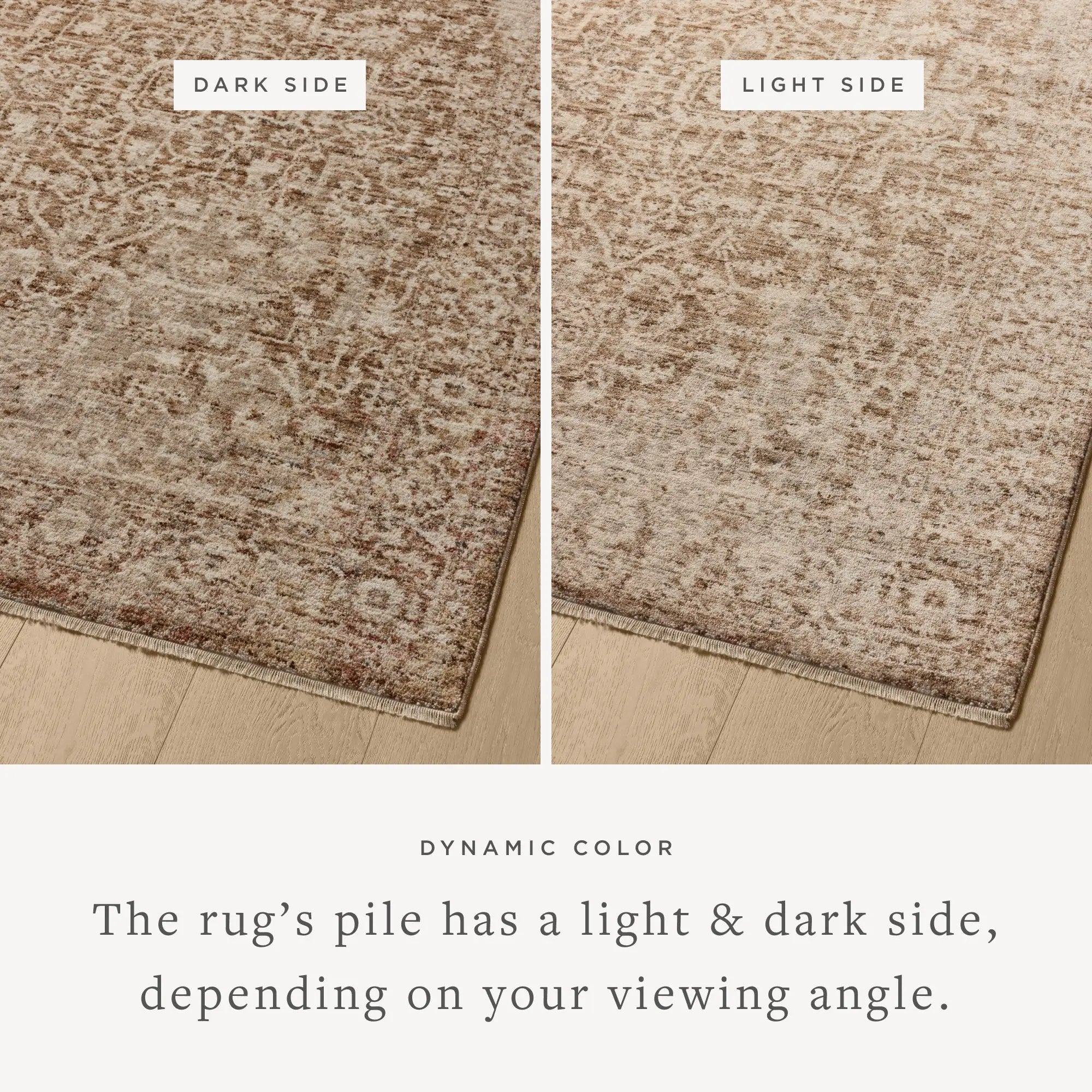 Newman NEW-02 Bark / Natural Area Rug by Loloi