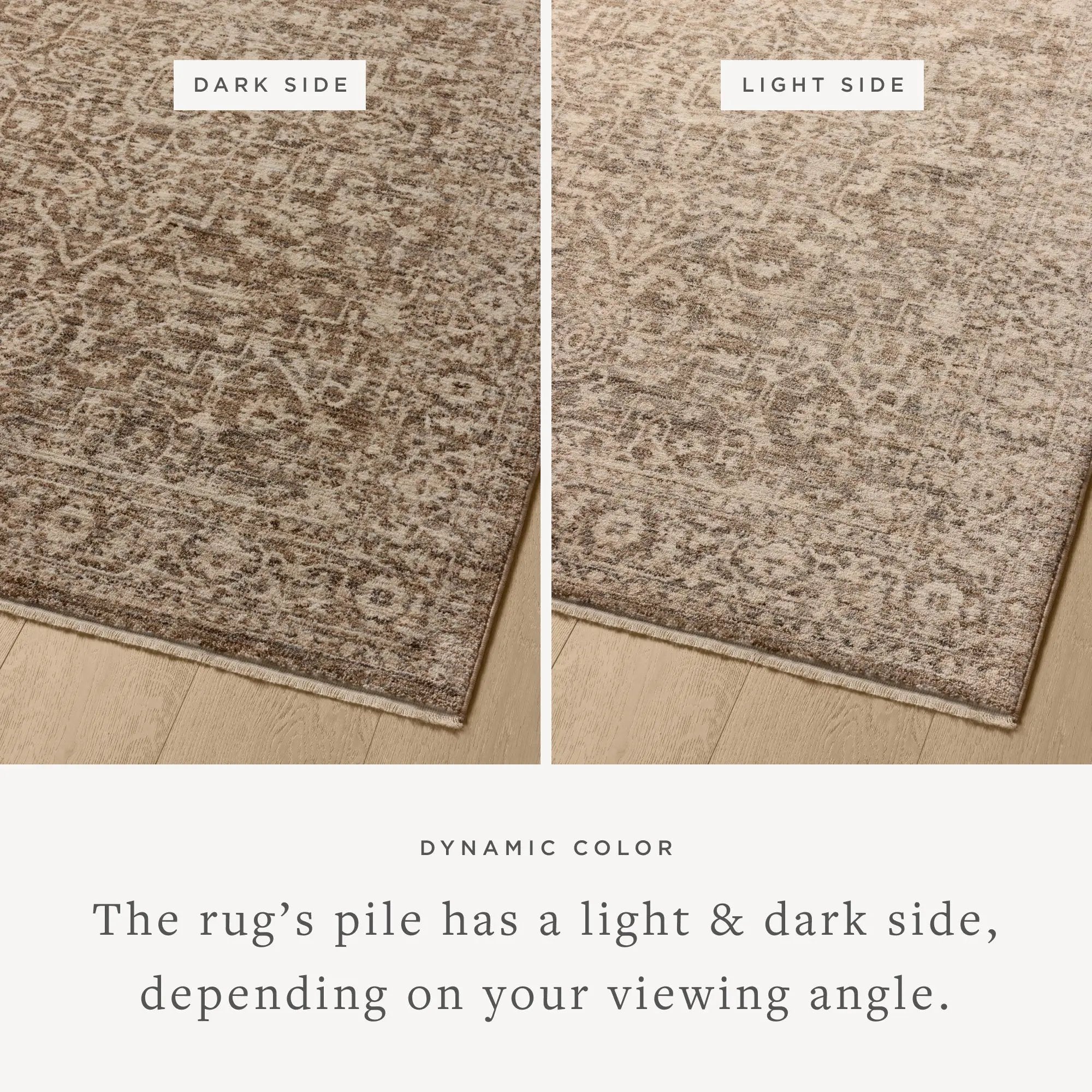 Newman NEW-02 Dark Taupe / Natural Area Rug by Loloi
