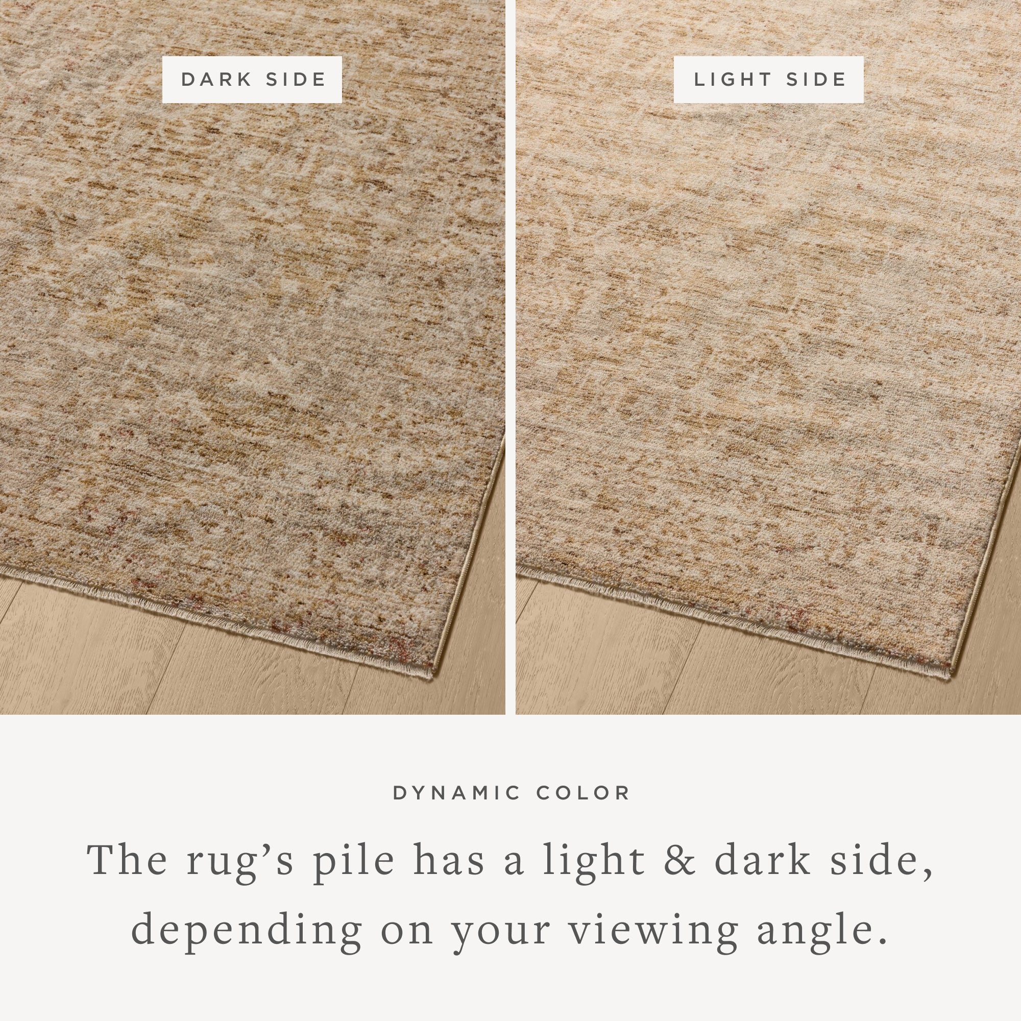 Layered in golden wheat and warm natural hues with vintage and distressed patterns, the Newman NEW-02 Wheat / Natural Area Rug is a power-loomed polyester area rug perfect for any setting