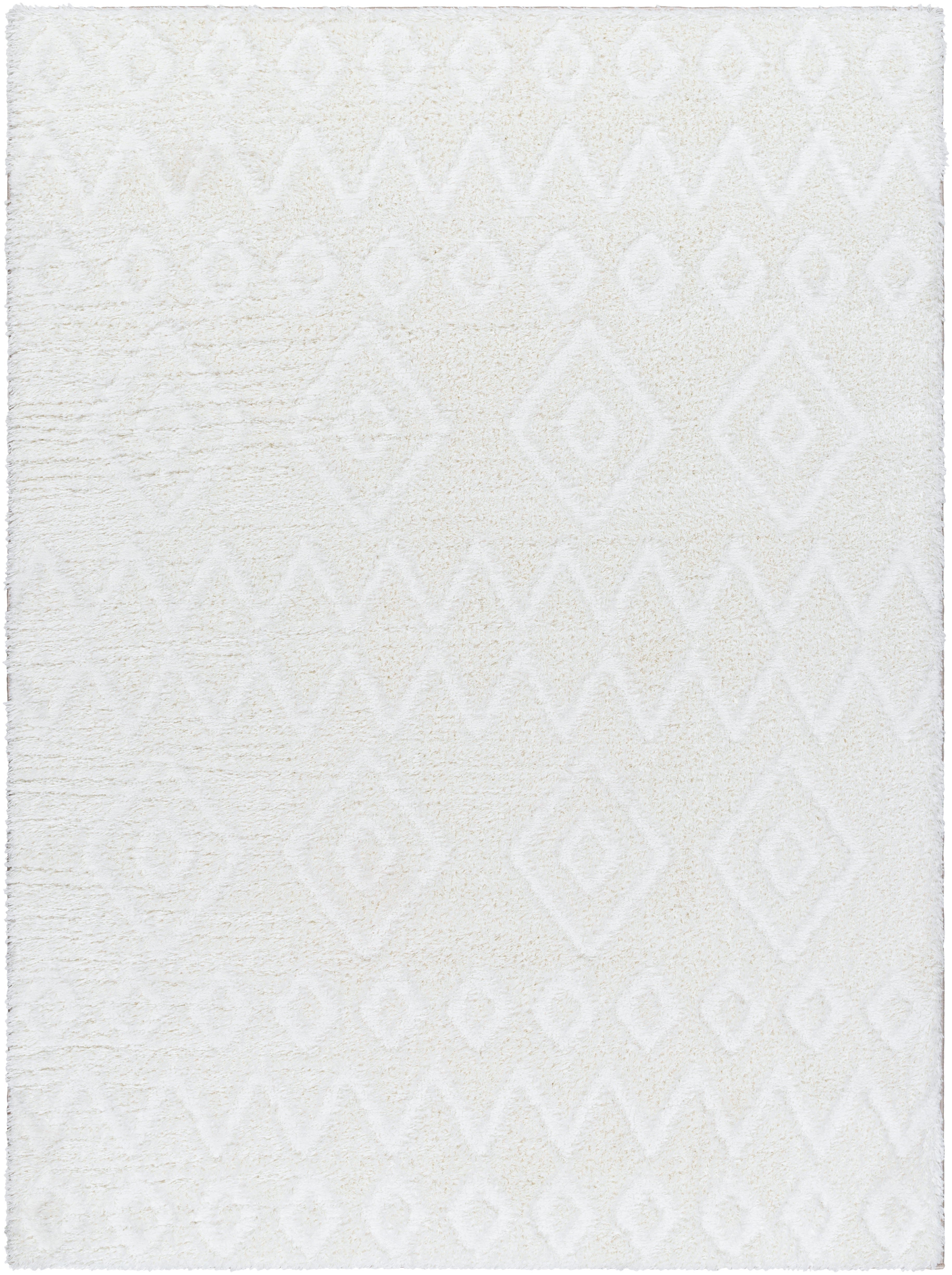 Surya Nomadic NMC-2306 Ivory Area Rug by LIVABLISS