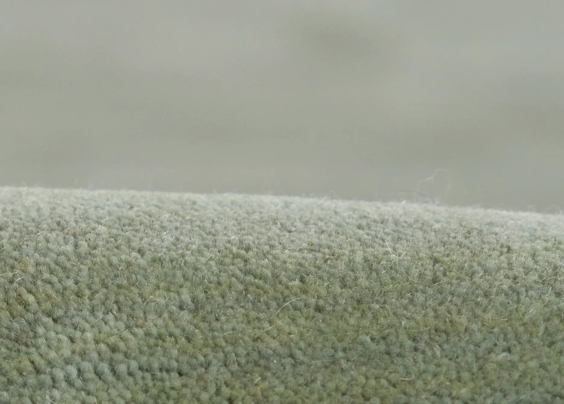 Ombre OMB-1 Green Area Rug by Momeni