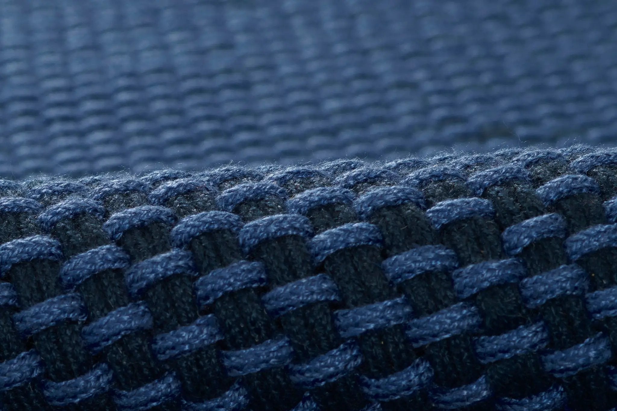 Paracord PCD-1 Blue Area Rug by Momeni