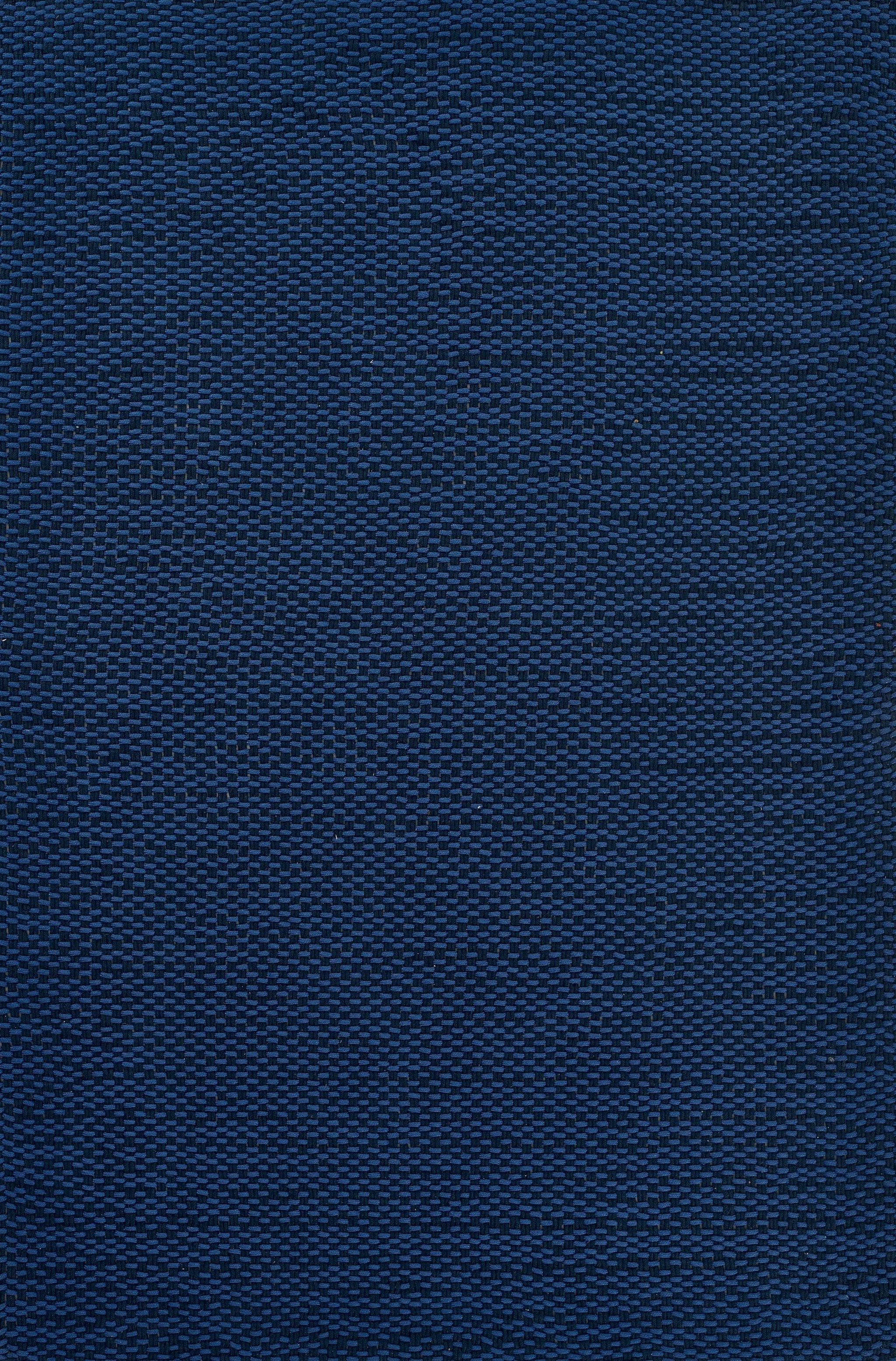 Paracord PCD-1 Blue Area Rug by Momeni