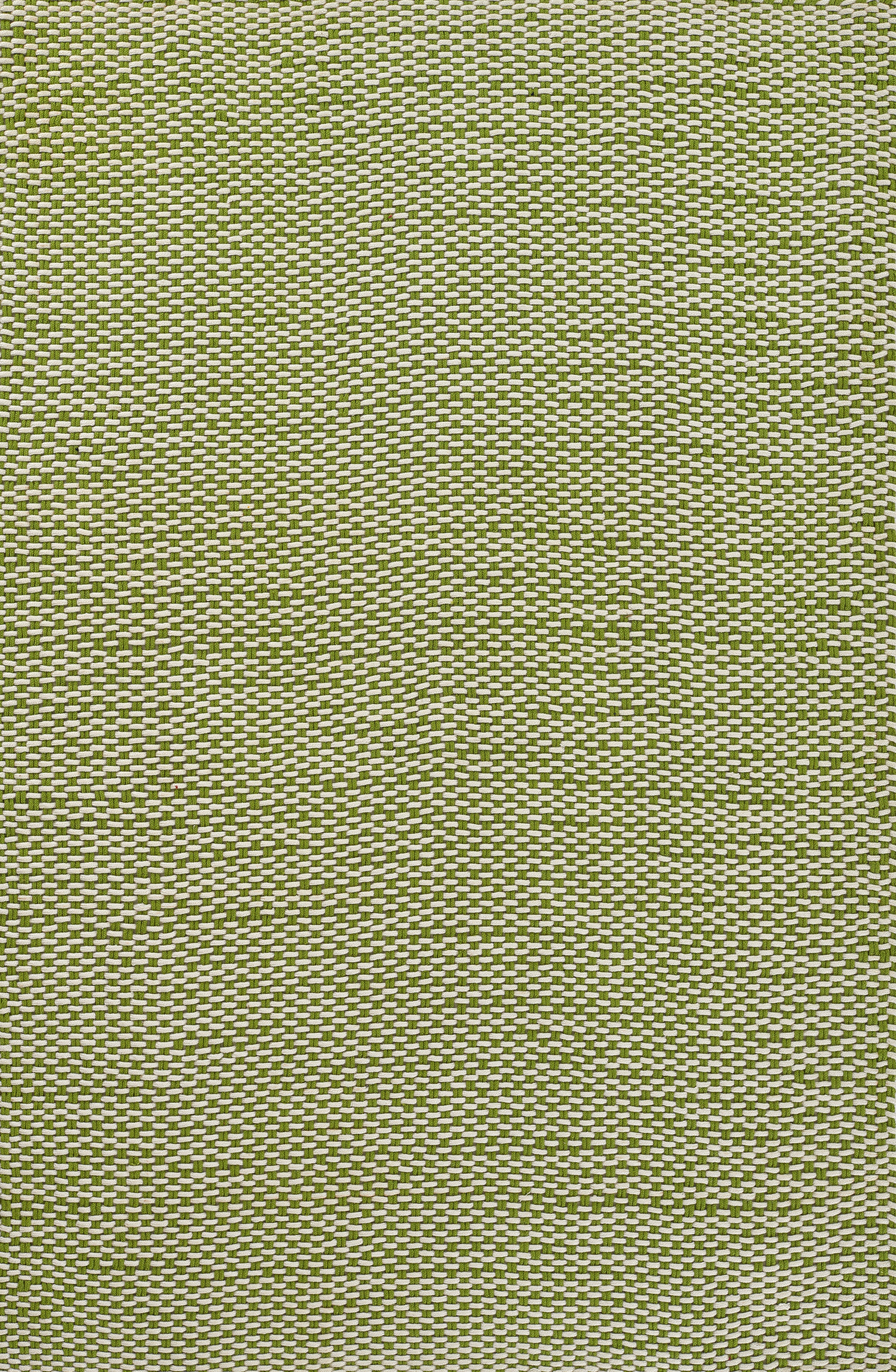 Momeni Paracord PCD-1 Green Hand Woven Area Rug