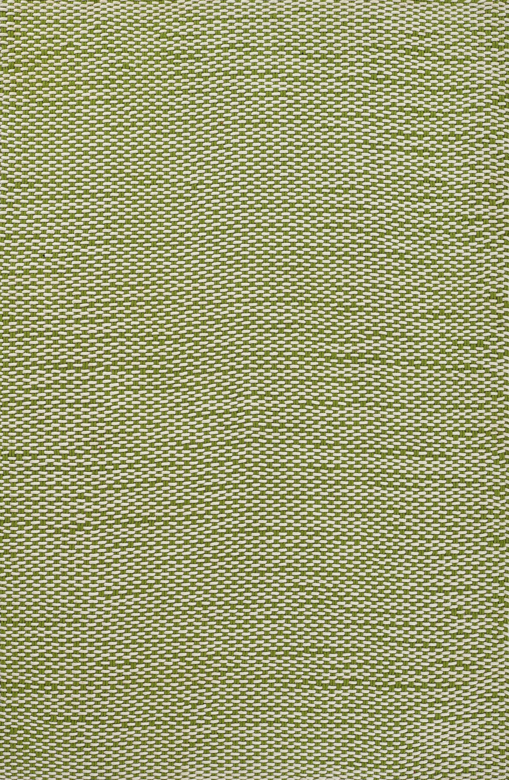Paracord PCD-1 Green Area Rug by Momeni
