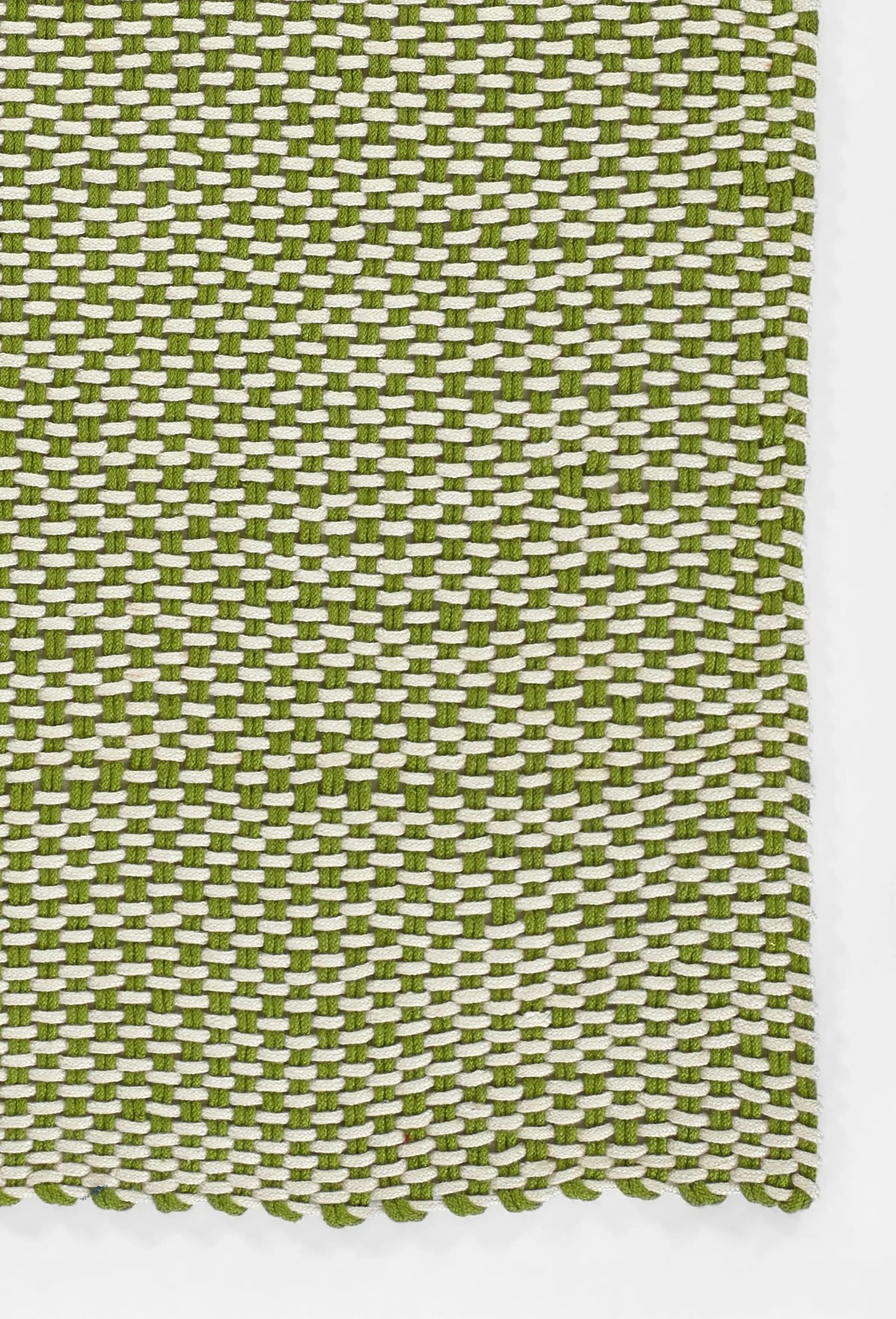 Paracord PCD-1 Green Area Rug by Momeni