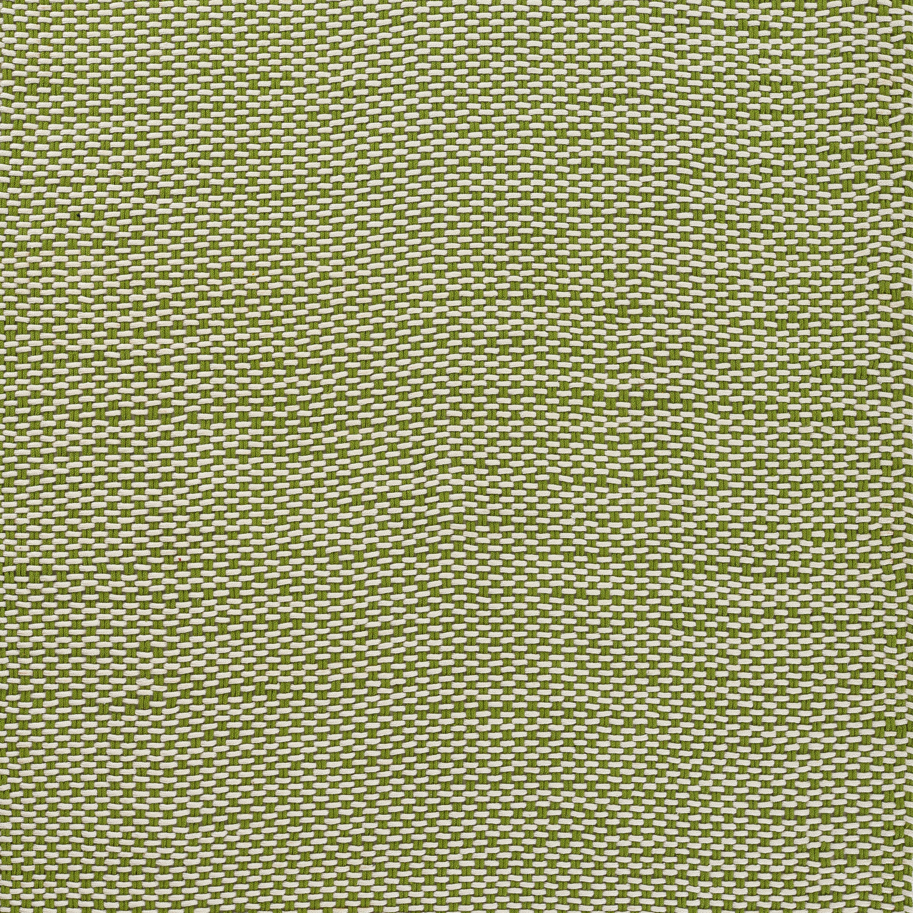 Momeni Paracord PCD-1 Green Hand Woven Area Rug
