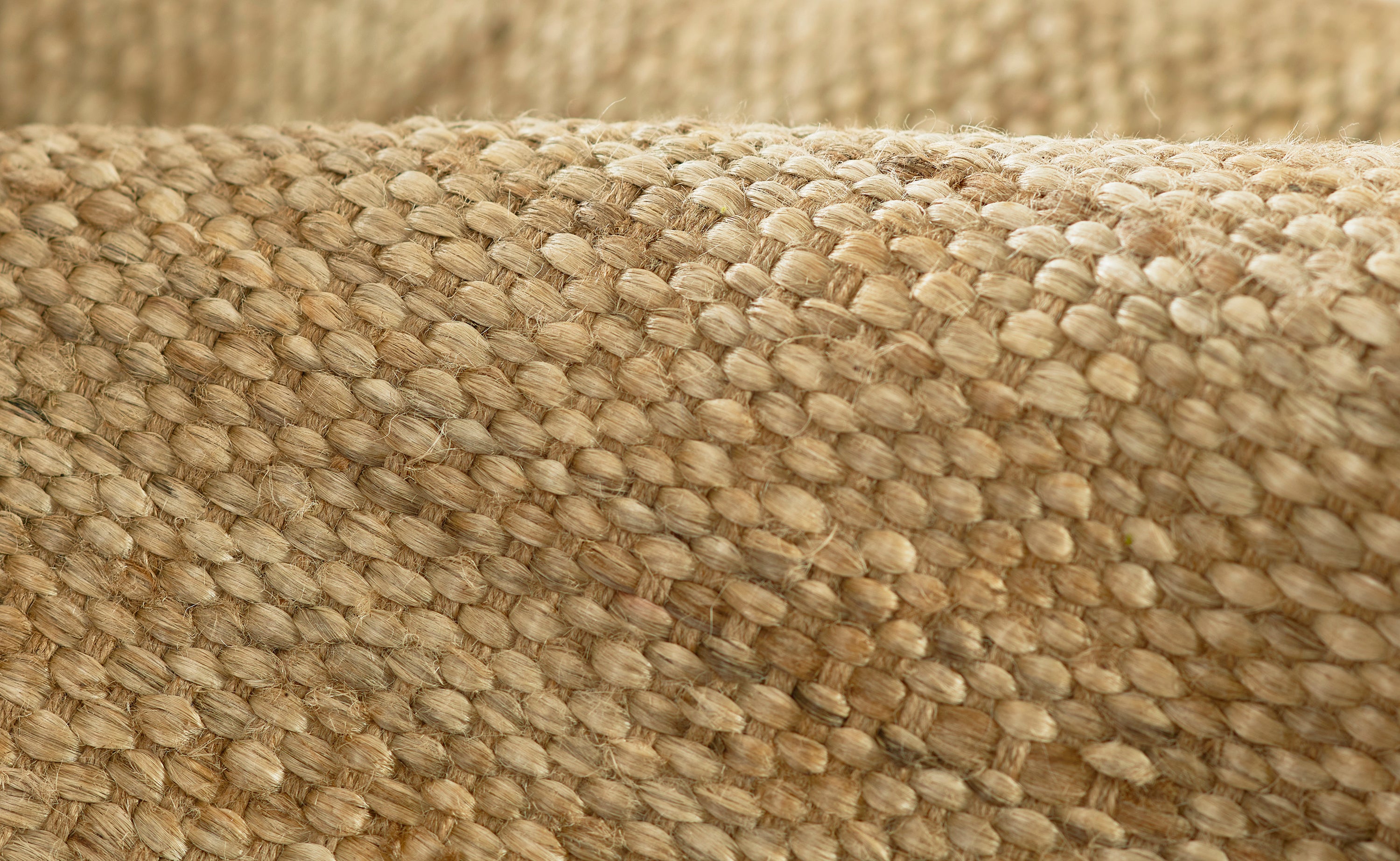 Pure Salt x Momeni Parikia PRK-1 Natural Hand Woven Area Rug