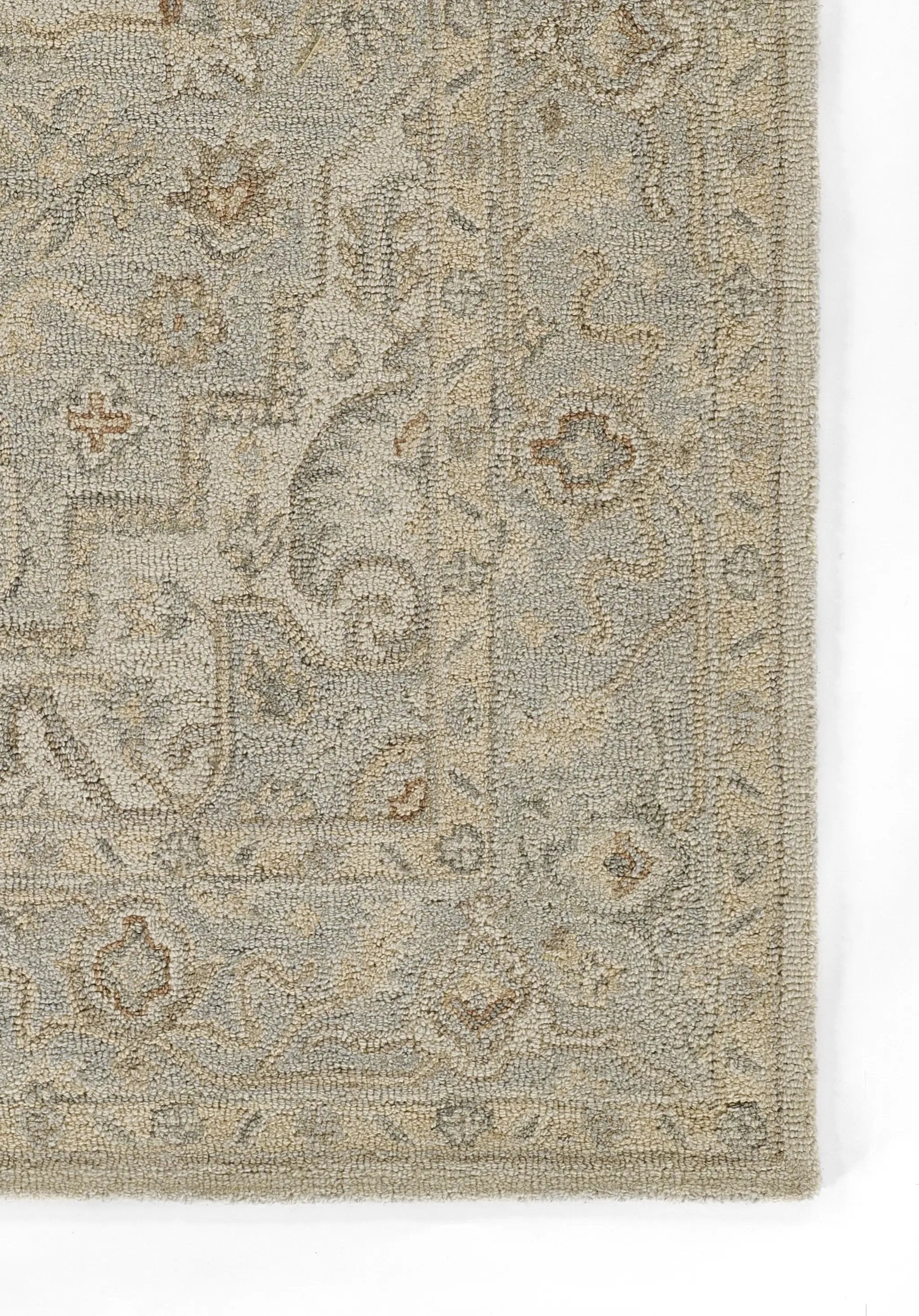 Pasha PSH-1 Light-Blue Area Rug by Momeni