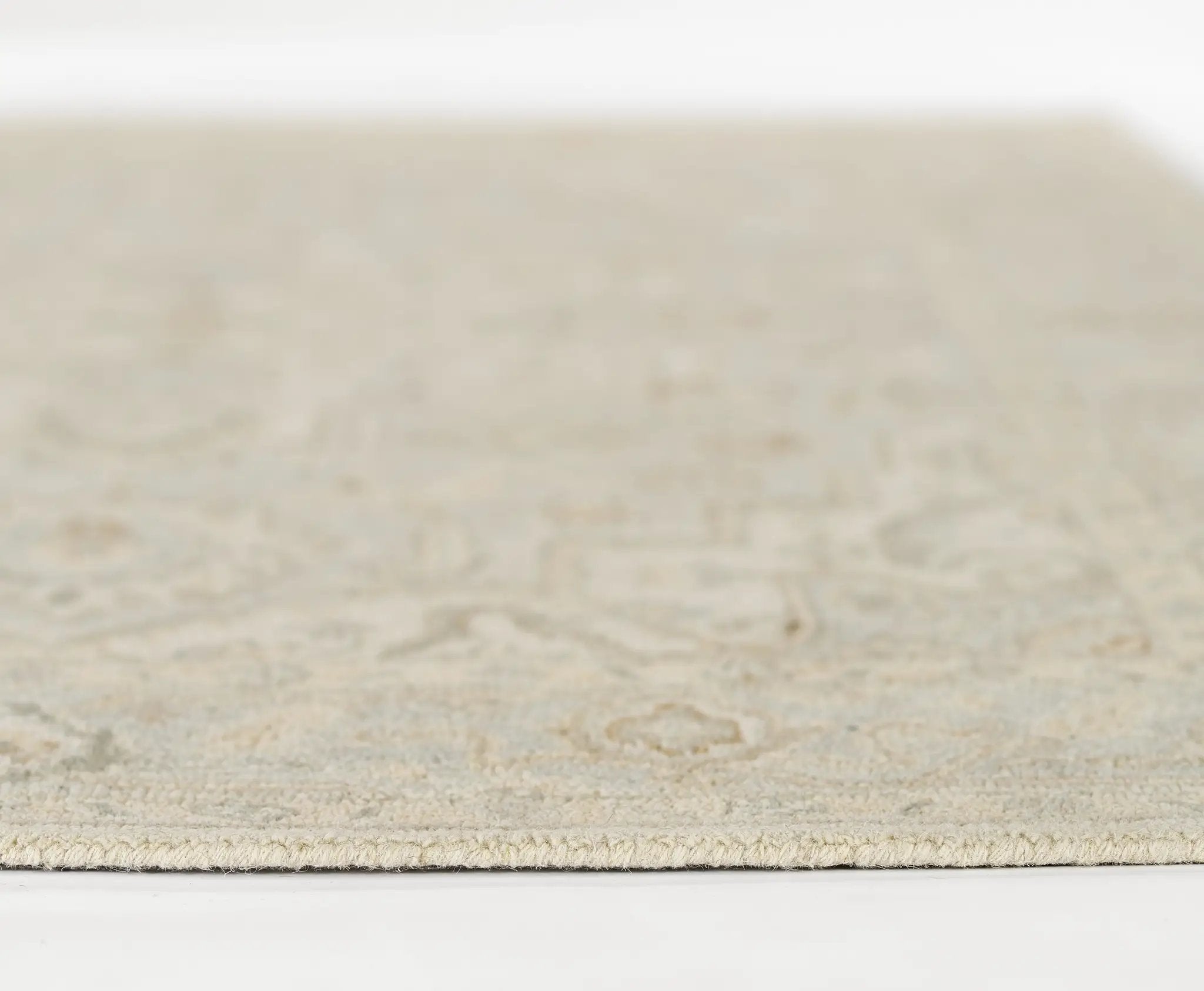 Pasha PSH-1 Light-Blue Area Rug by Momeni