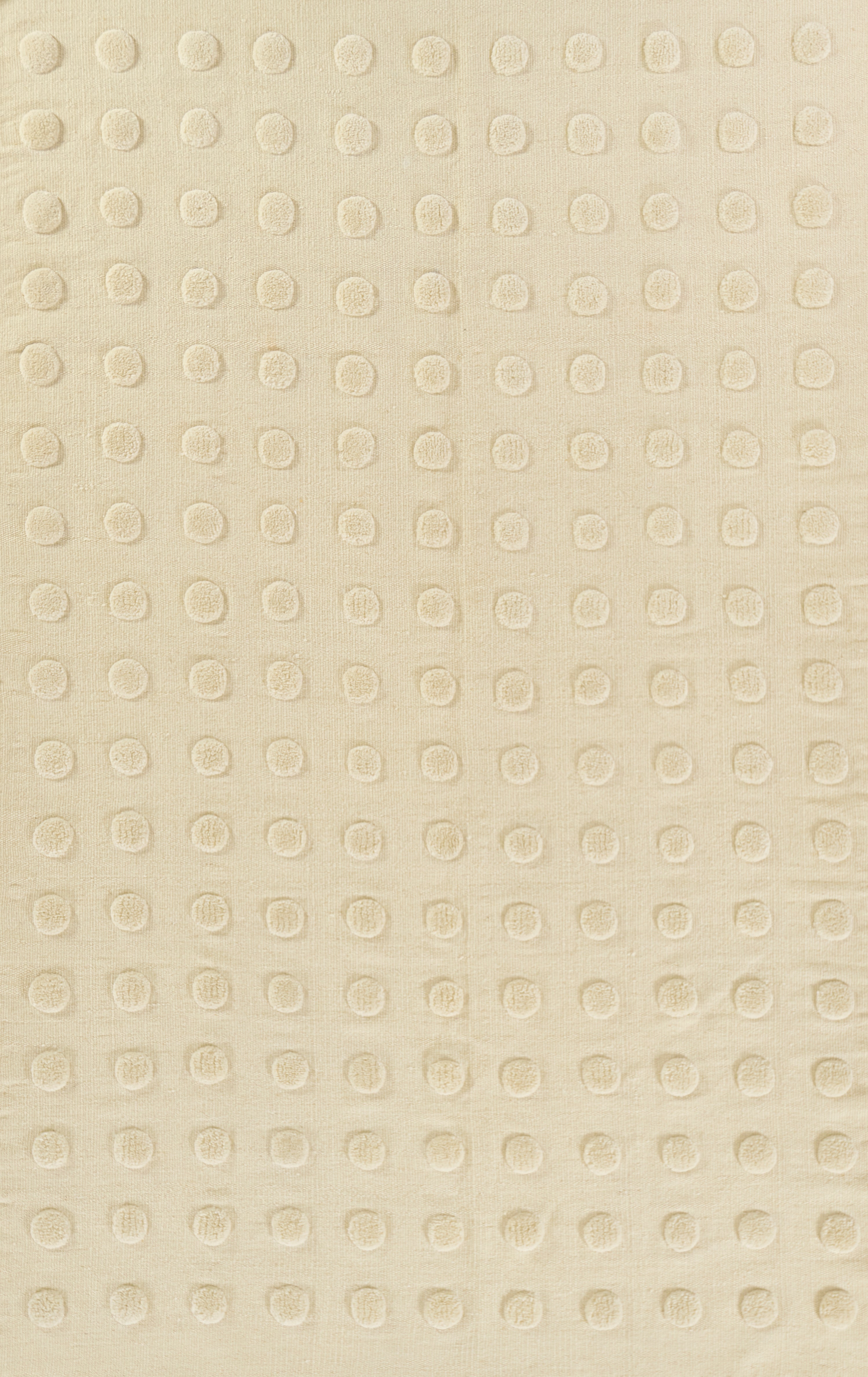 Pure Salt Patara PAT-1 Cream Area Rug by Momeni
