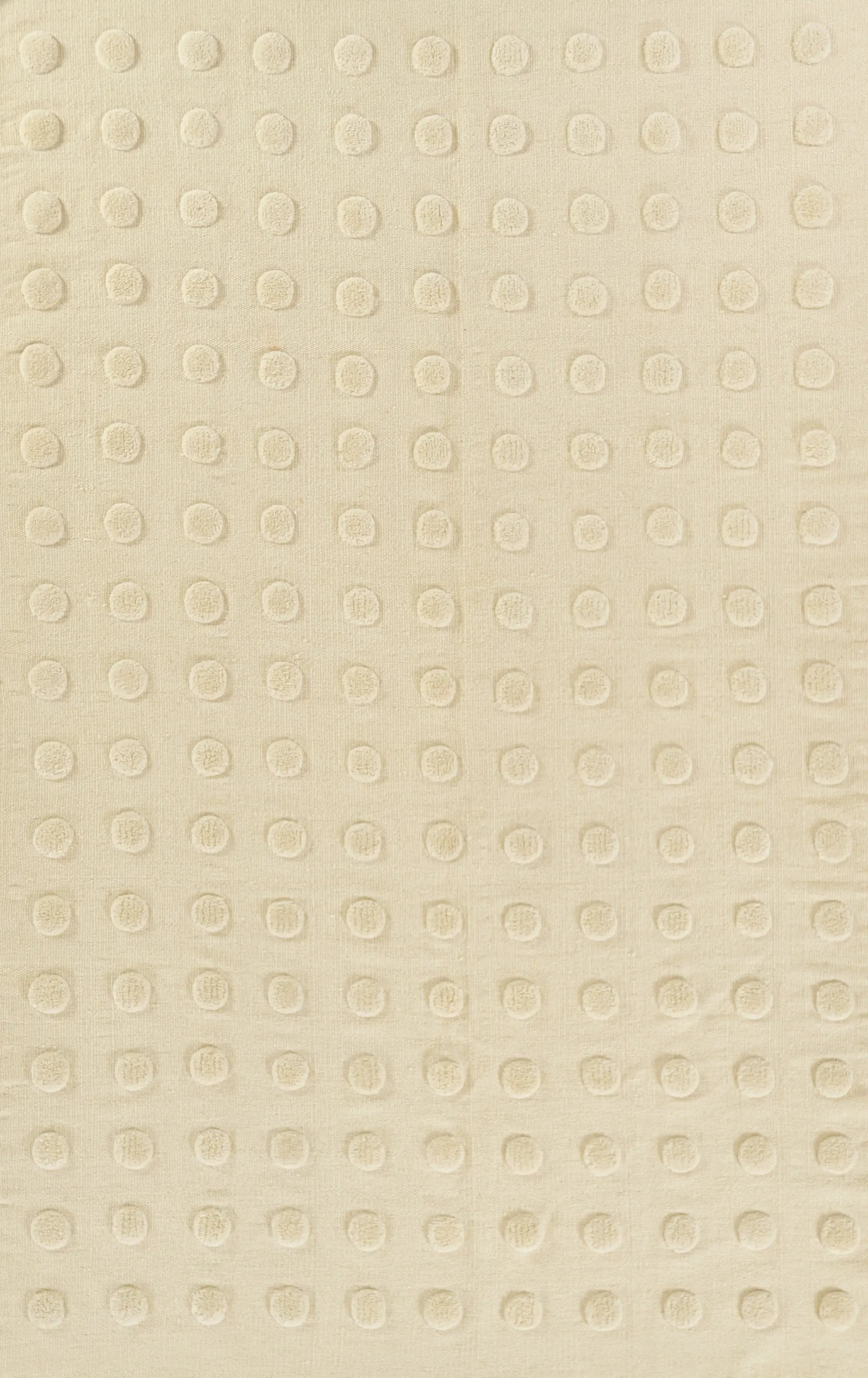 Patara PAT-1 Cream Area Rug by Pure Salt by Momeni