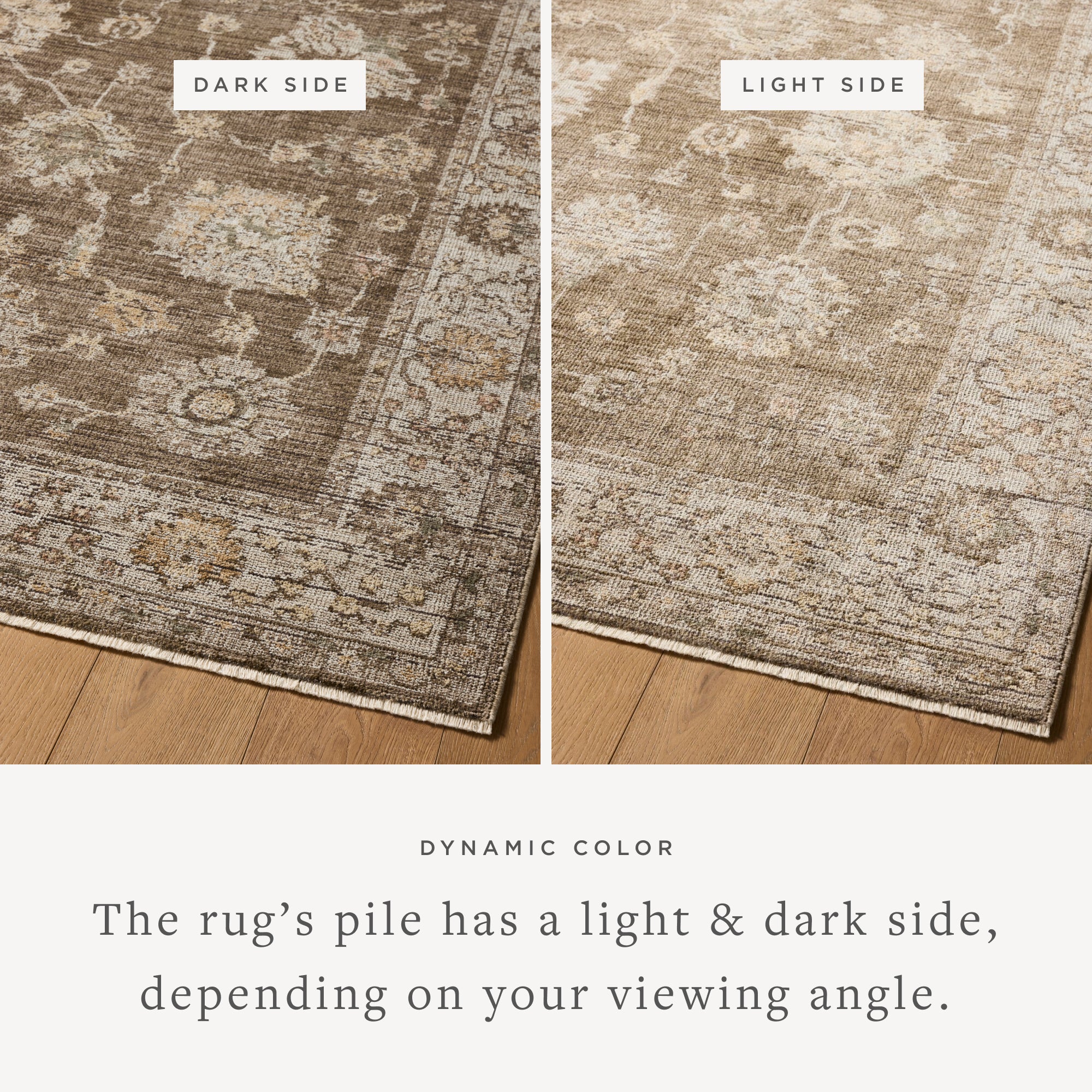 Layered in grounded bark and refined ivory hues with vintage patterns, the Priscilla PRL-01 Bark / Ivory Area Rug is a power-loomed 100% polyester area rug perfect for any setting