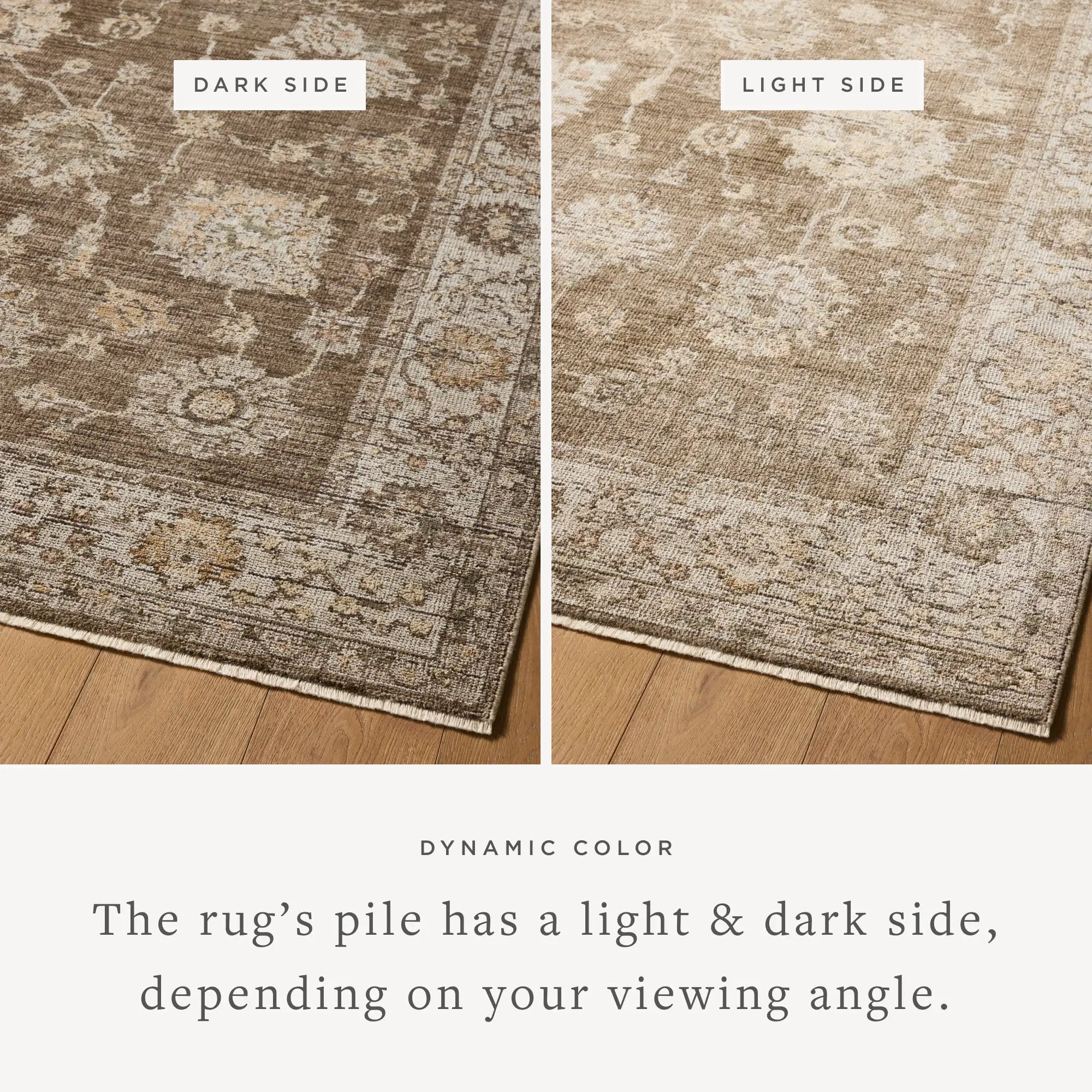 Priscilla PRL-01 Bark / Ivory Area Rug by Loloi