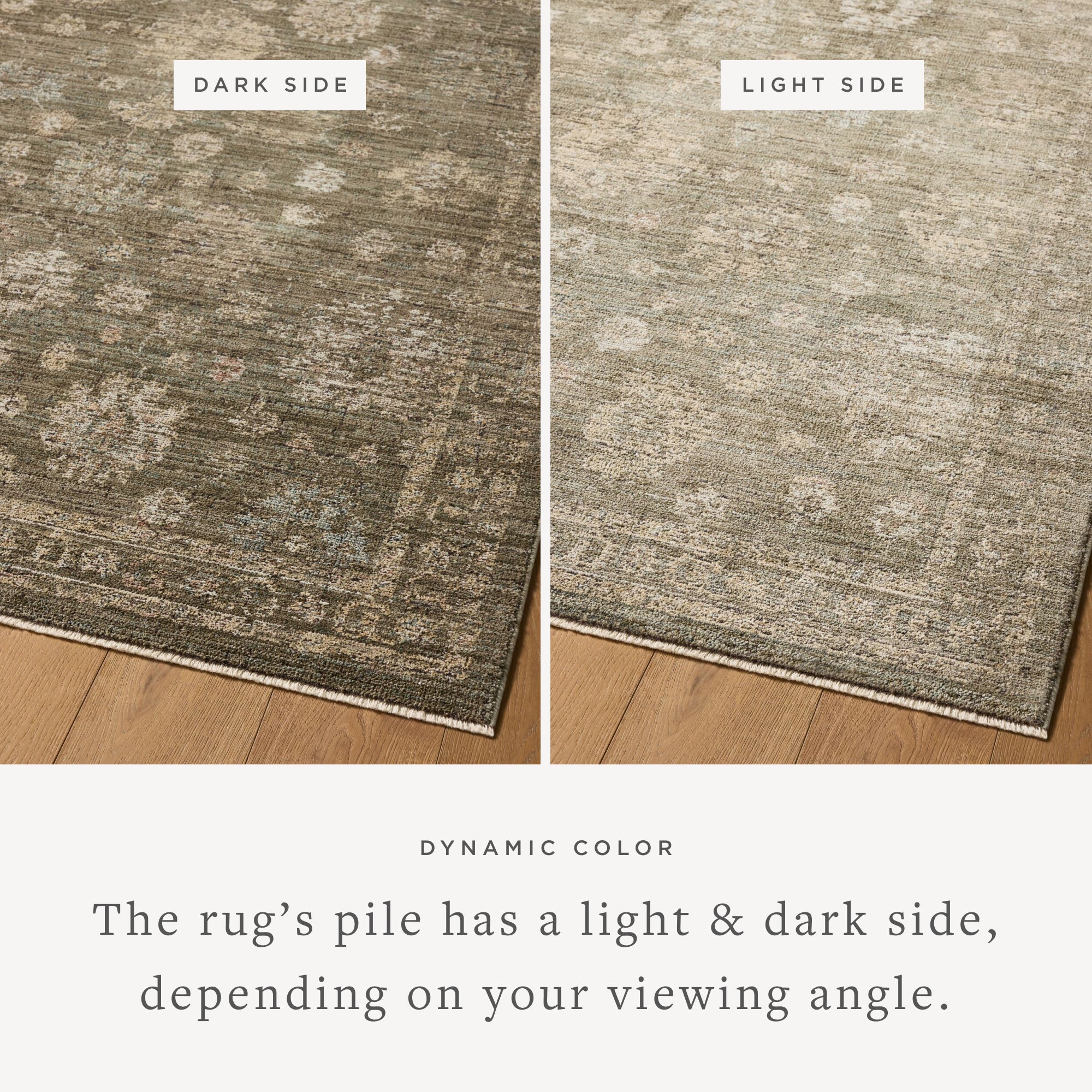 The Priscilla PRL-02 Olive / Sand Area Rug showcases earthy olive and sandy tones in a power-loomed 100% polyester area rug with vintage style