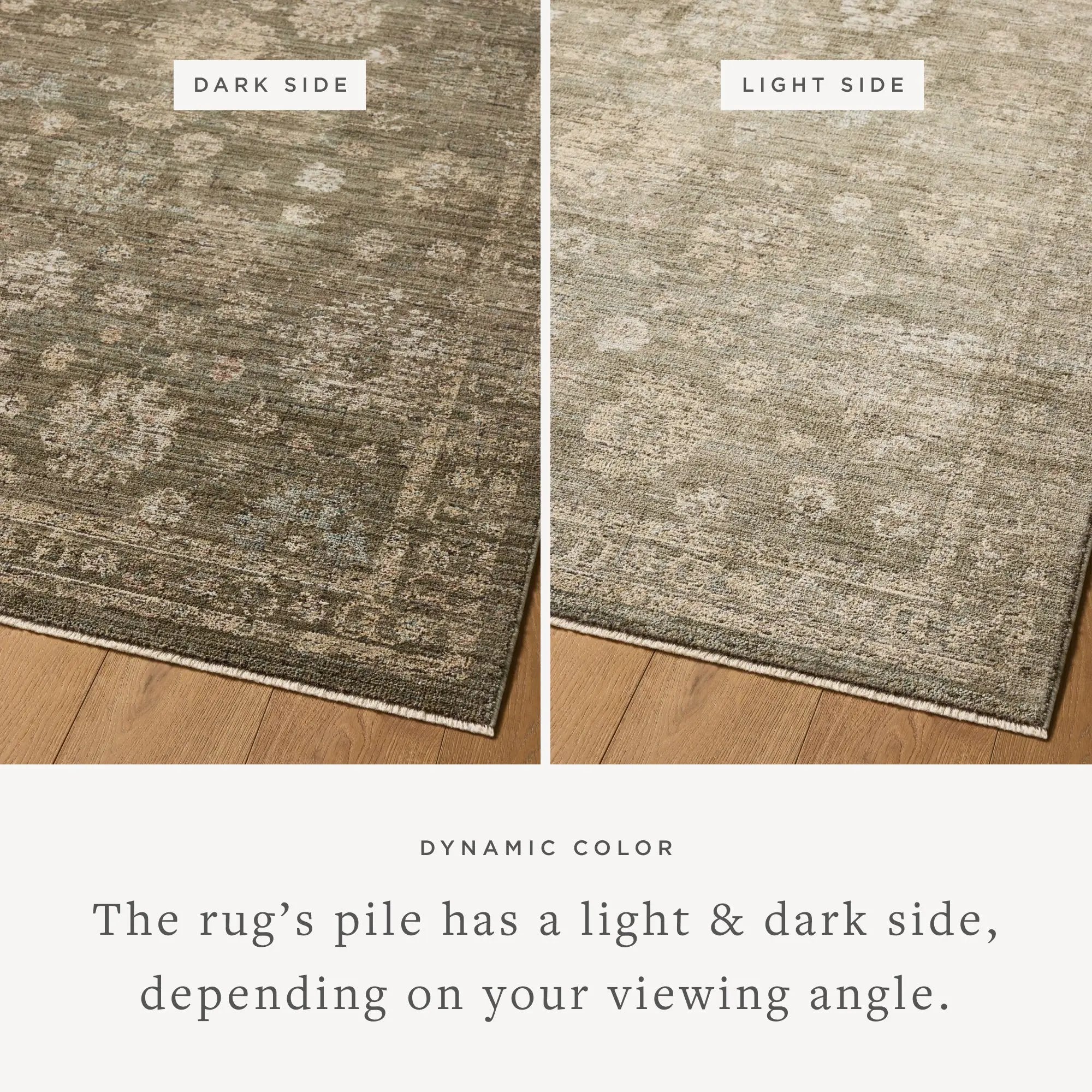 Priscilla PRL-02 Olive / Sand Area Rug by Loloi