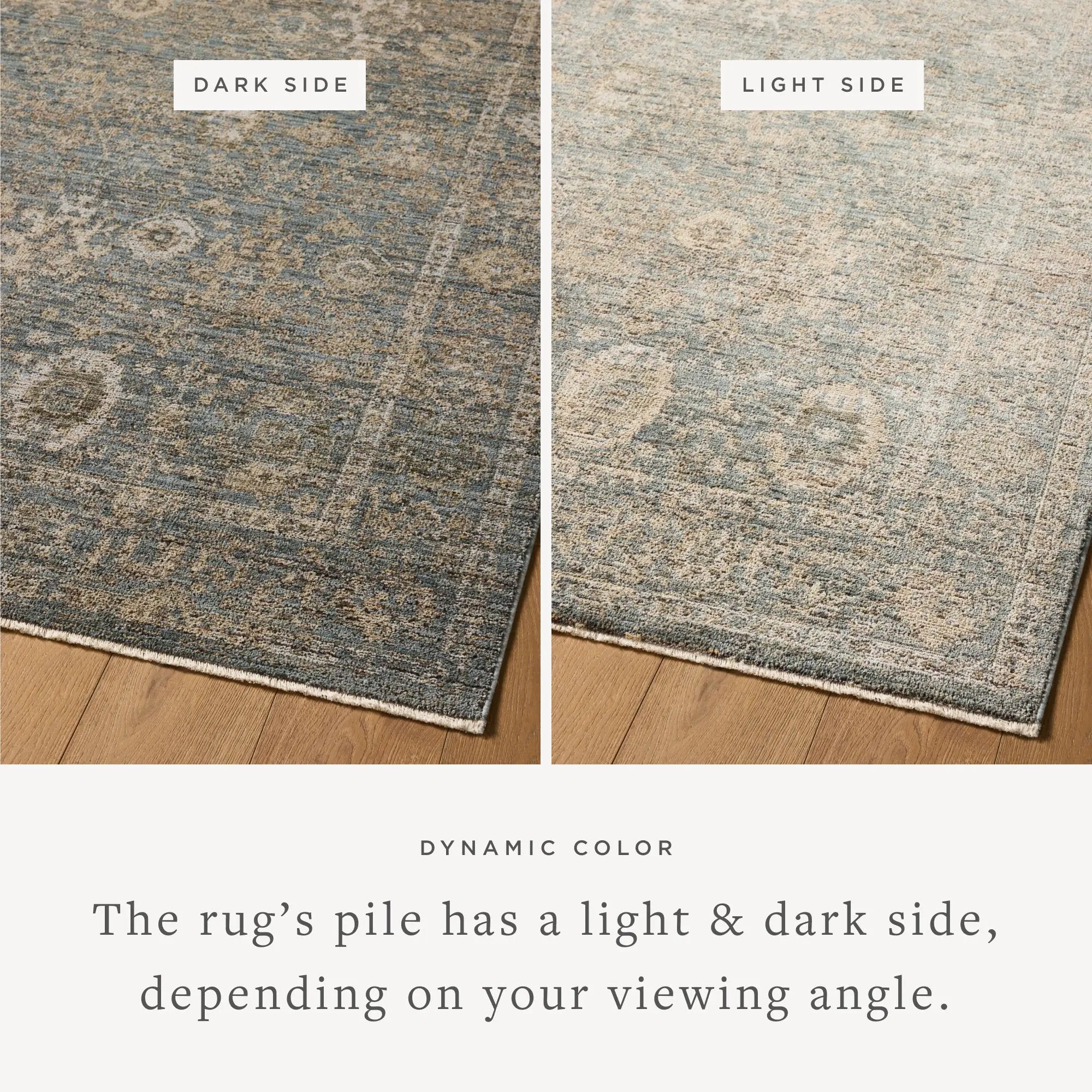 Priscilla PRL-03 Blue / Sand Area Rug by Loloi