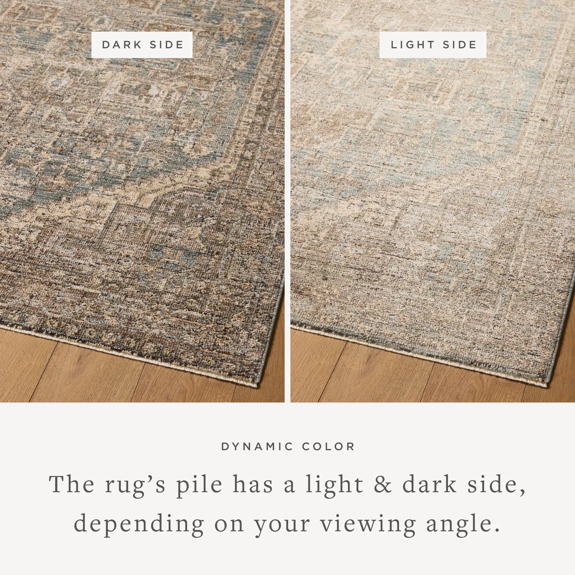 Priscilla PRL-04 Blue / Bark Area Rug by Loloi