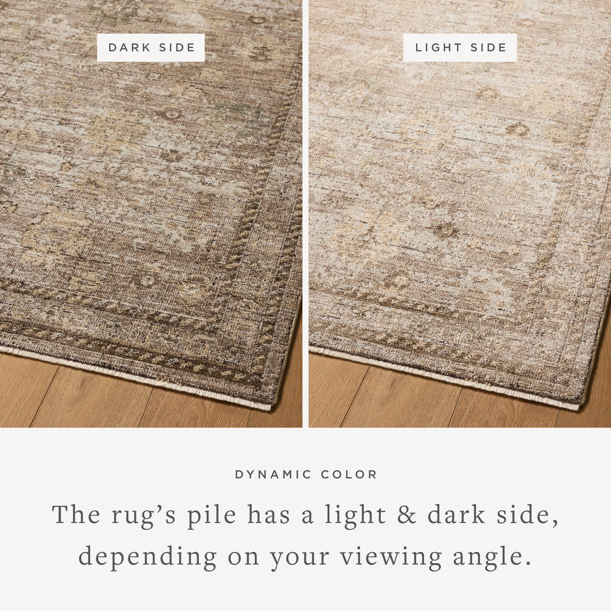 The Priscilla PRL-05 Sand / Earth Area Rug pairs sandy and earthy tones and vintage patterns in a power-loomed 100% polyester area rug
