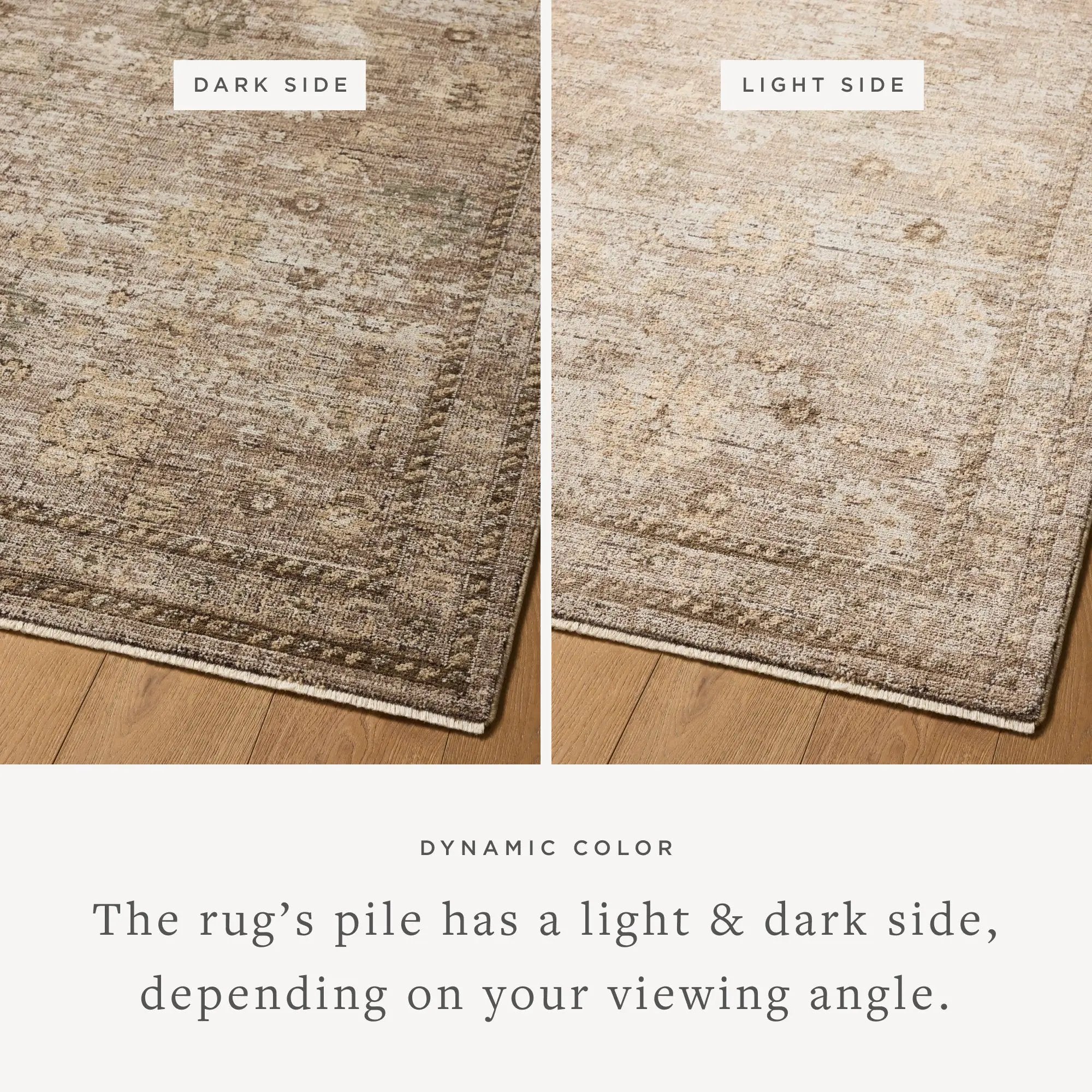 Priscilla PRL-05 Sand / Earth Area Rug by Loloi