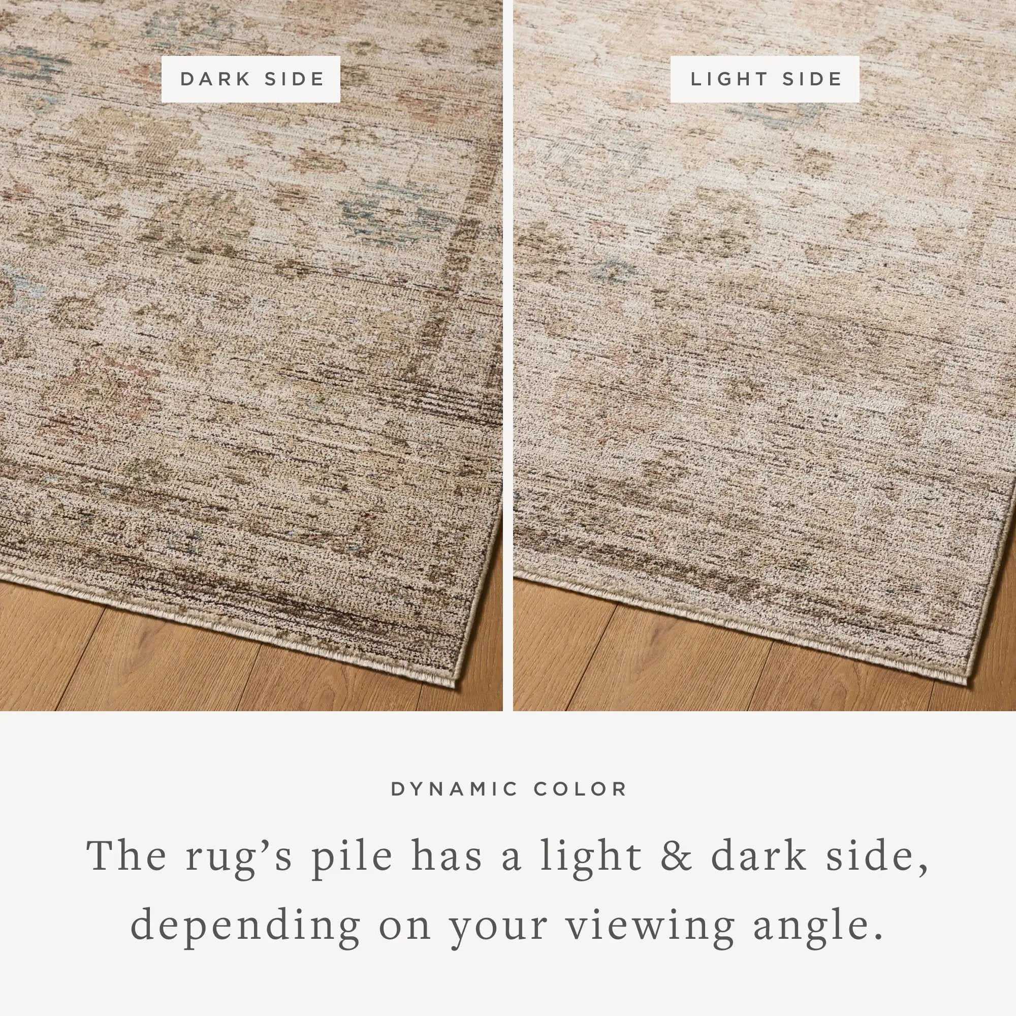 Priscilla PRL-06 Ivory / Multi Area Rug by Loloi