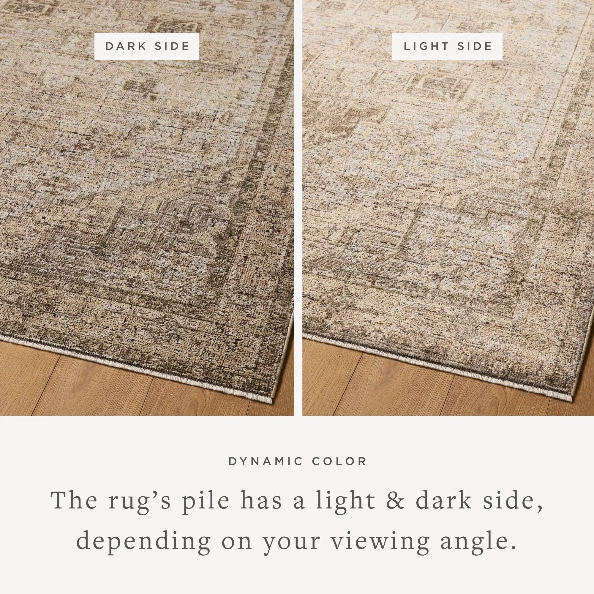 Priscilla PRL-07 Beige / Earth Area Rug by Loloi