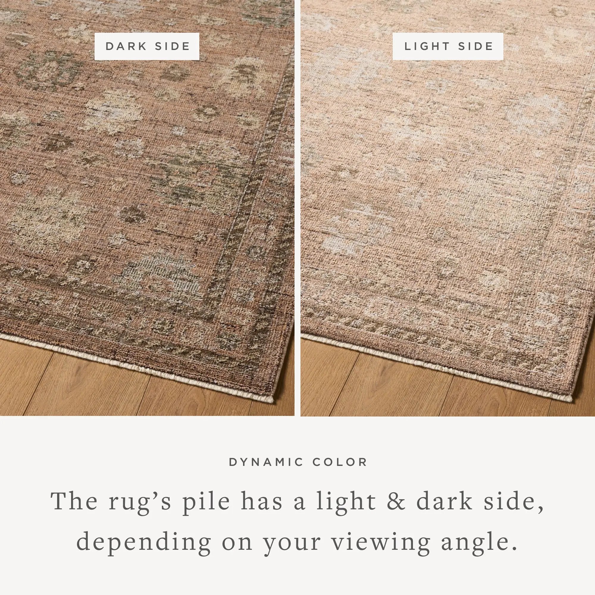 Priscilla PRL-08 Blush / Multi Area Rug by Loloi