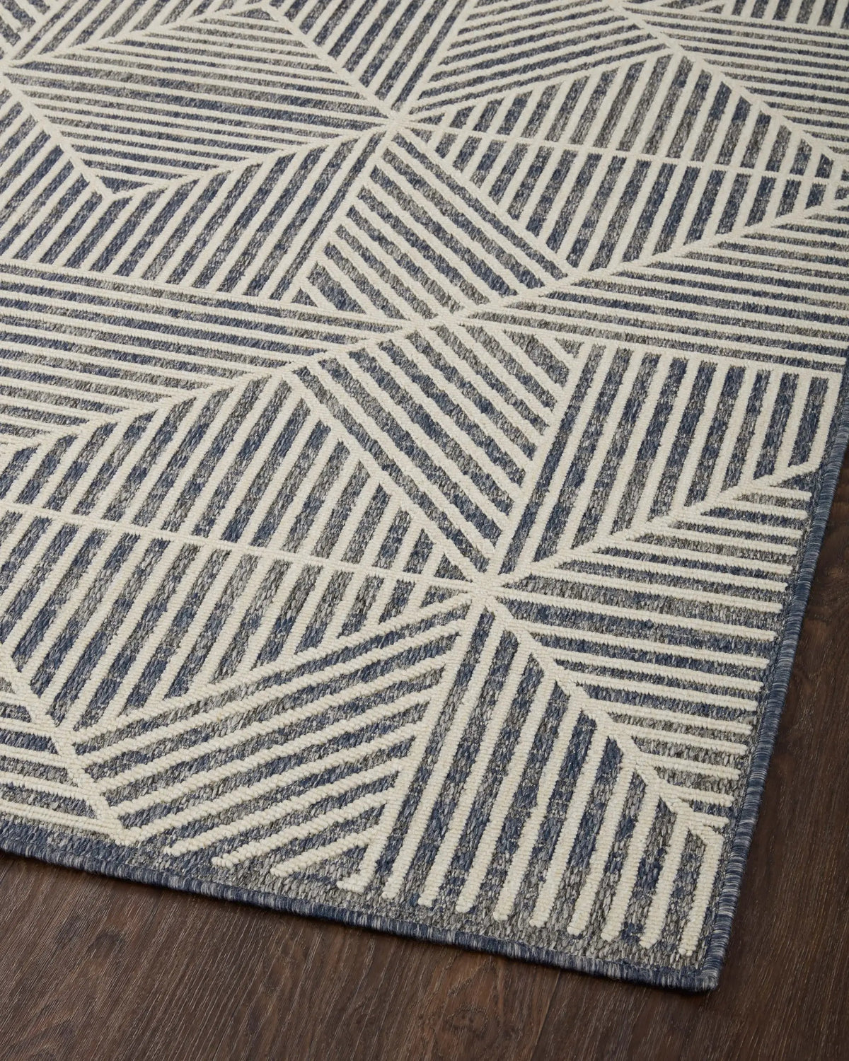 Rainier RAI-03 Denim / Ivory Area Rug by Loloi