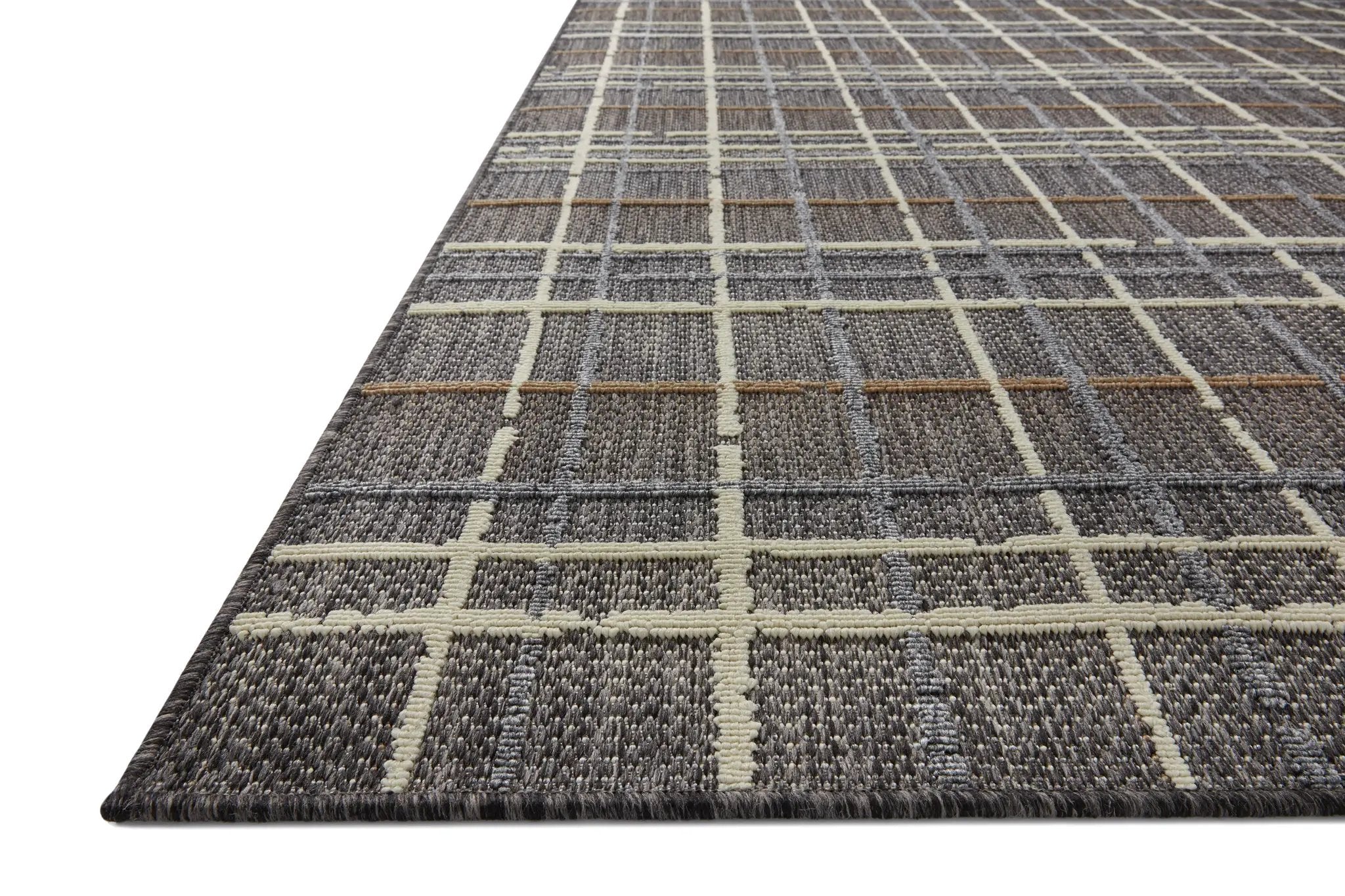 Rainier RAI-11 Charcoal / Multi Area Rug by Loloi