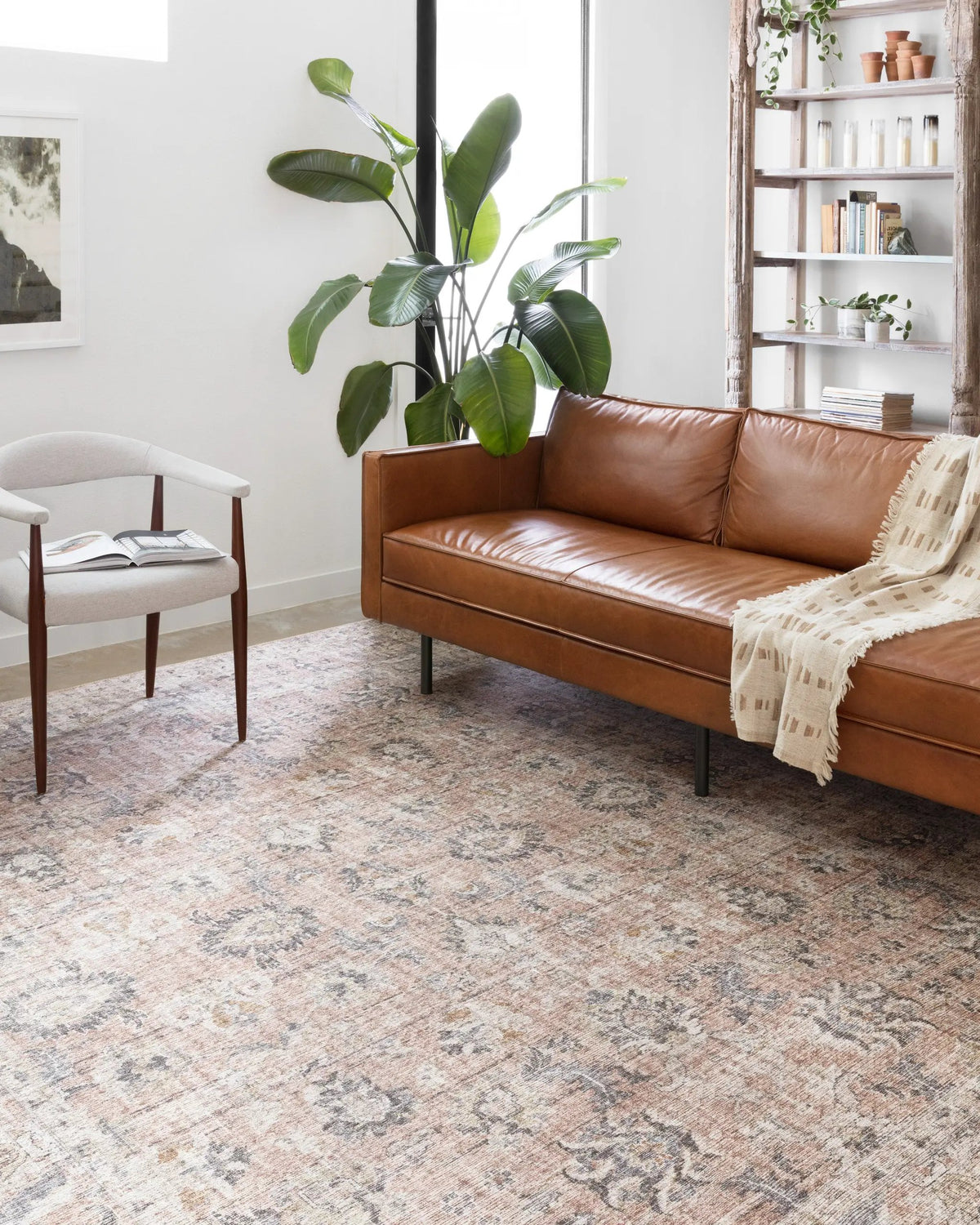 Skye SKY-01 Blush / Grey Area Rug by Loloi