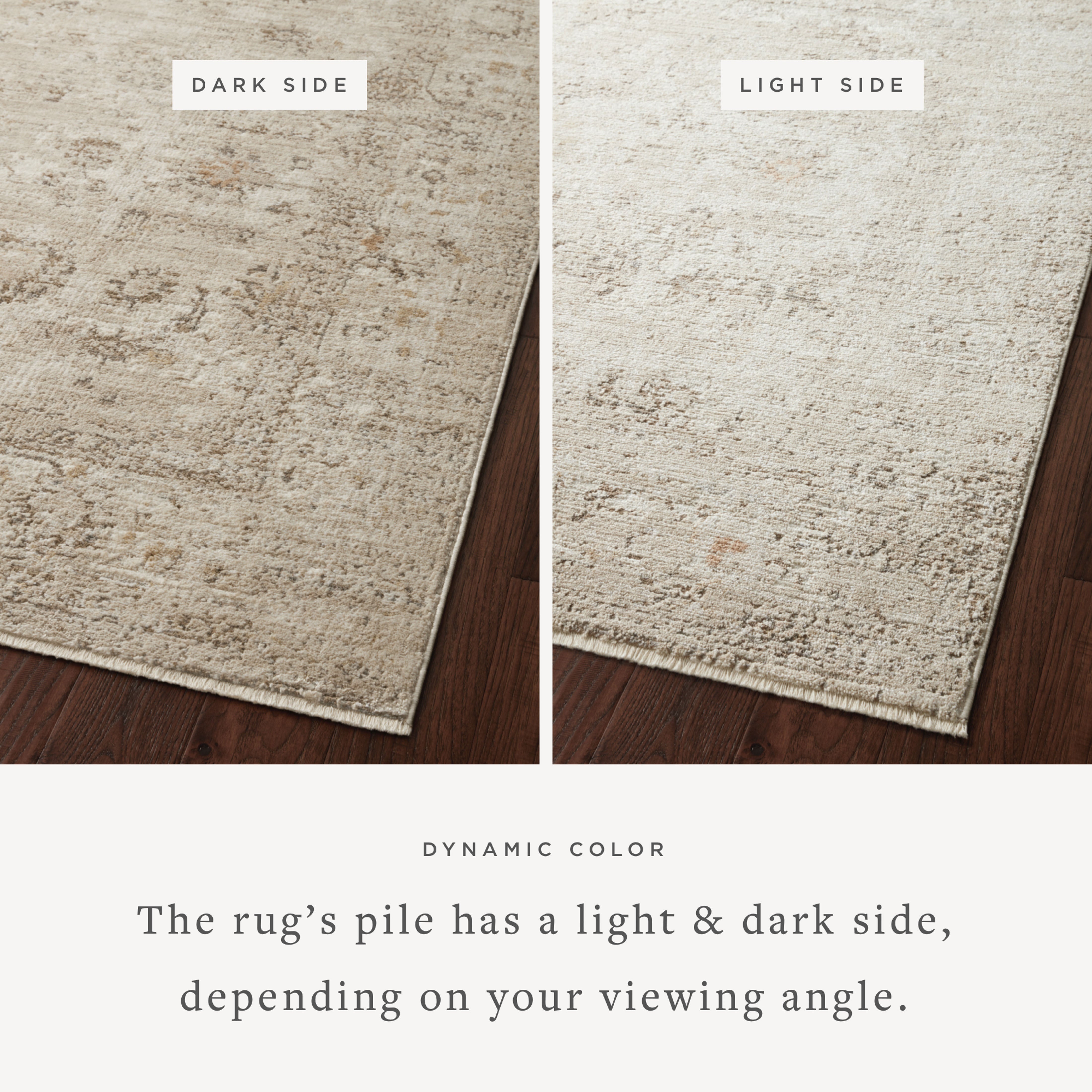 Expertly crafted as a power-loomed polypropylene and polyester area rug with traditional artistry, the Sonnet SNN-01 Sand / Taupe Area Rug captures sandy and versatile taupe tones beautifully