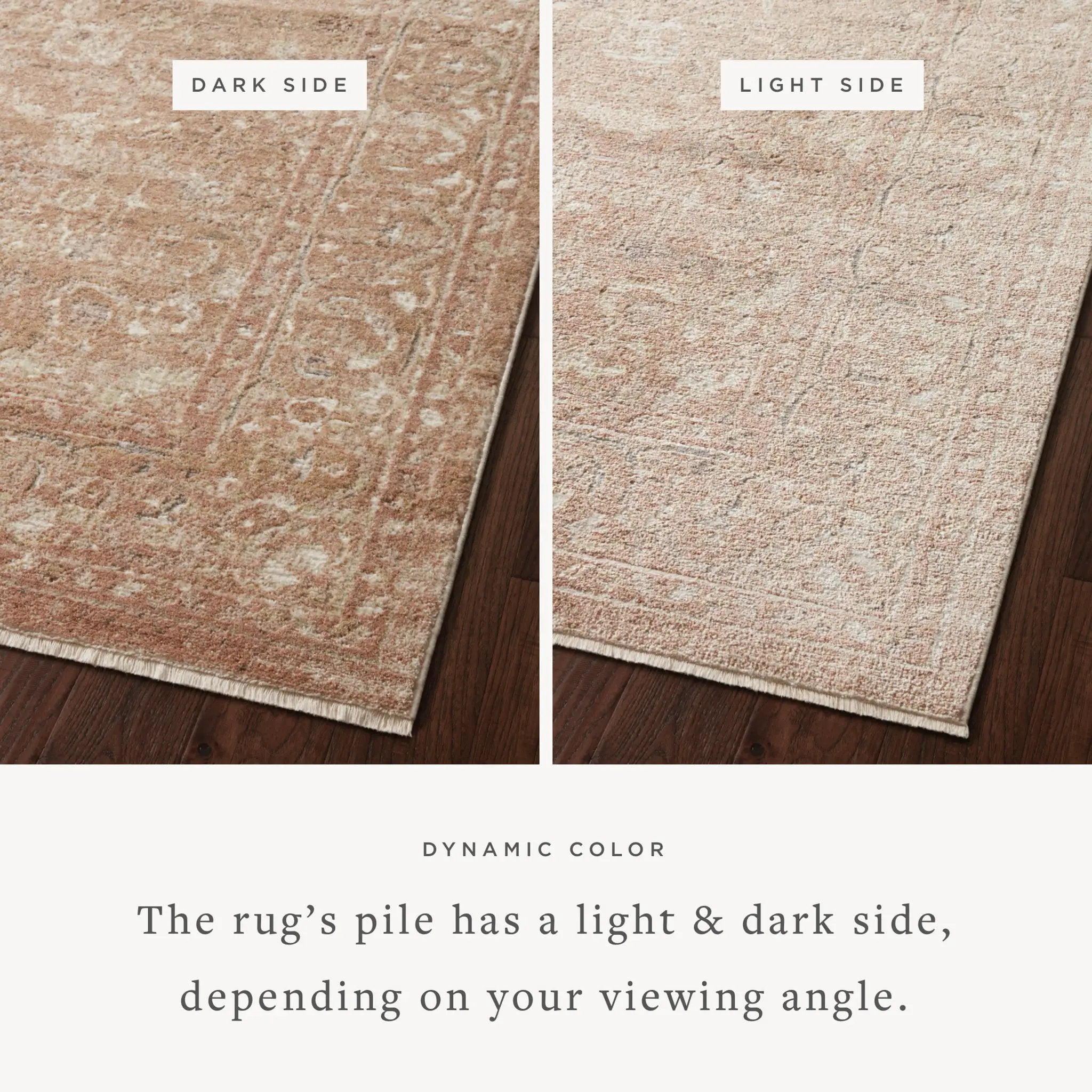 Sonnet SNN-04 Terracotta / Natural Area Rug by Loloi