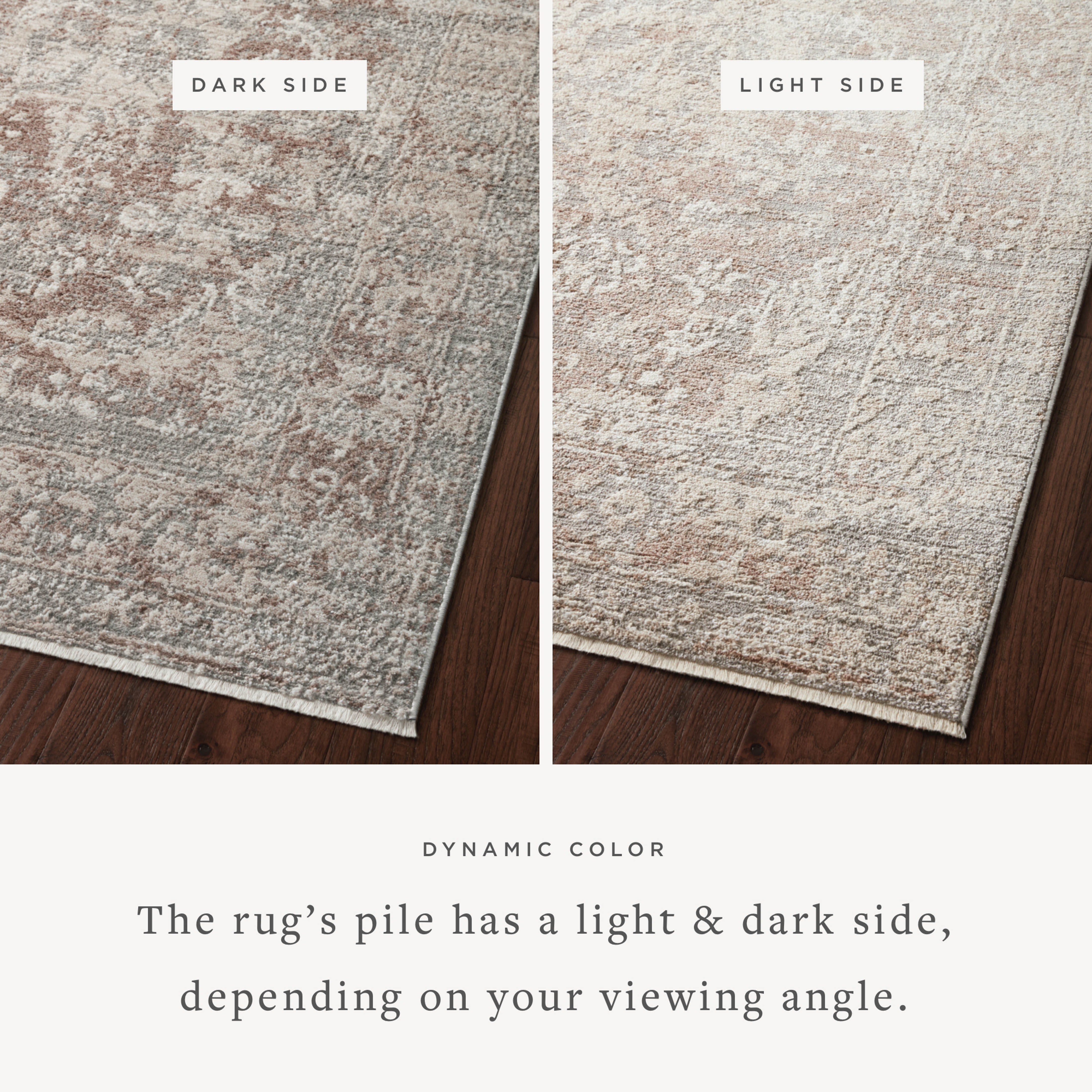 The Sonnet SNN-05 Silver / Natural Area Rug transforms any space with shimmering silver and warm natural tones and traditional design in a power-loomed polypropylene and polyester area rug