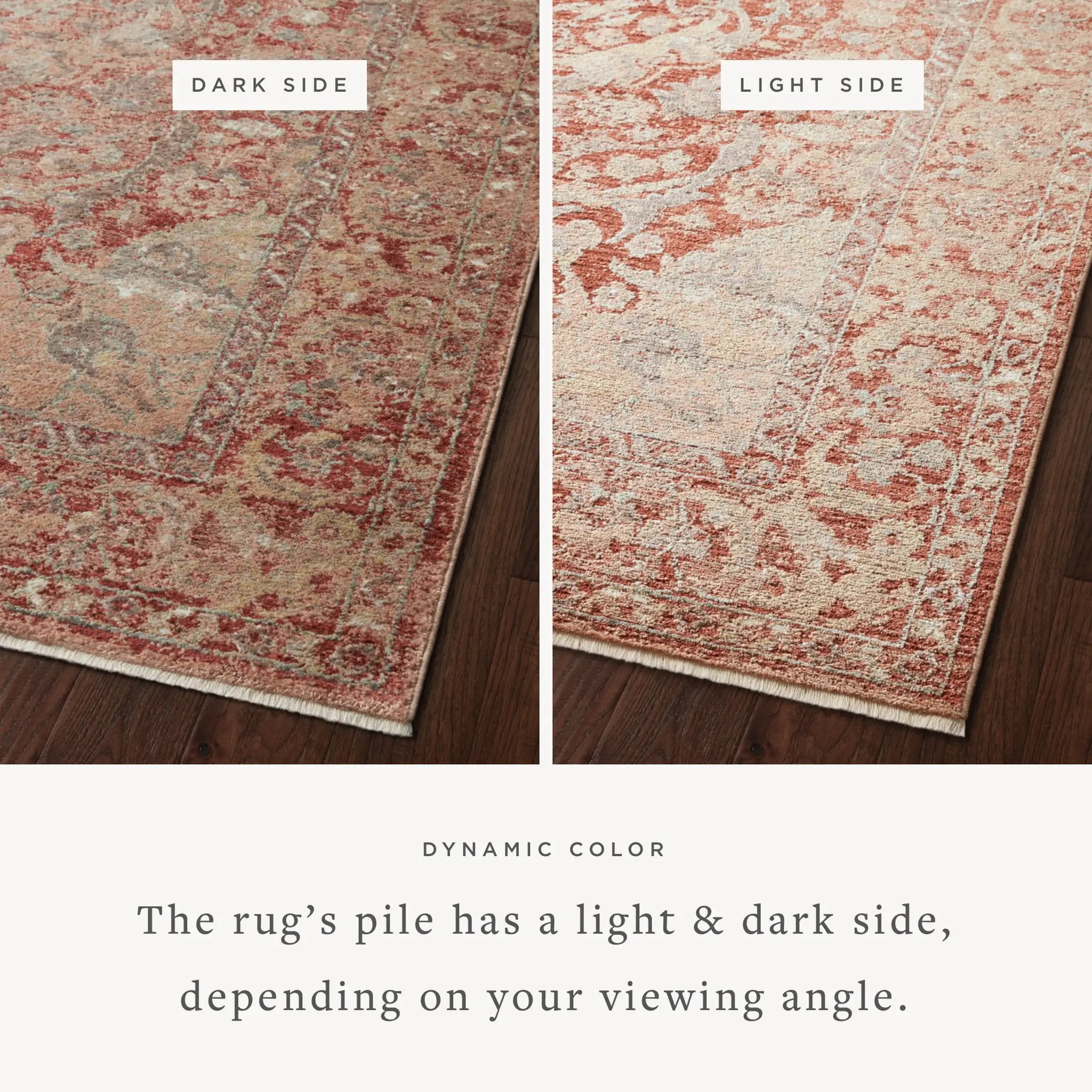 Sonnet SNN-10 Spice / Multi Area Rug by Loloi
