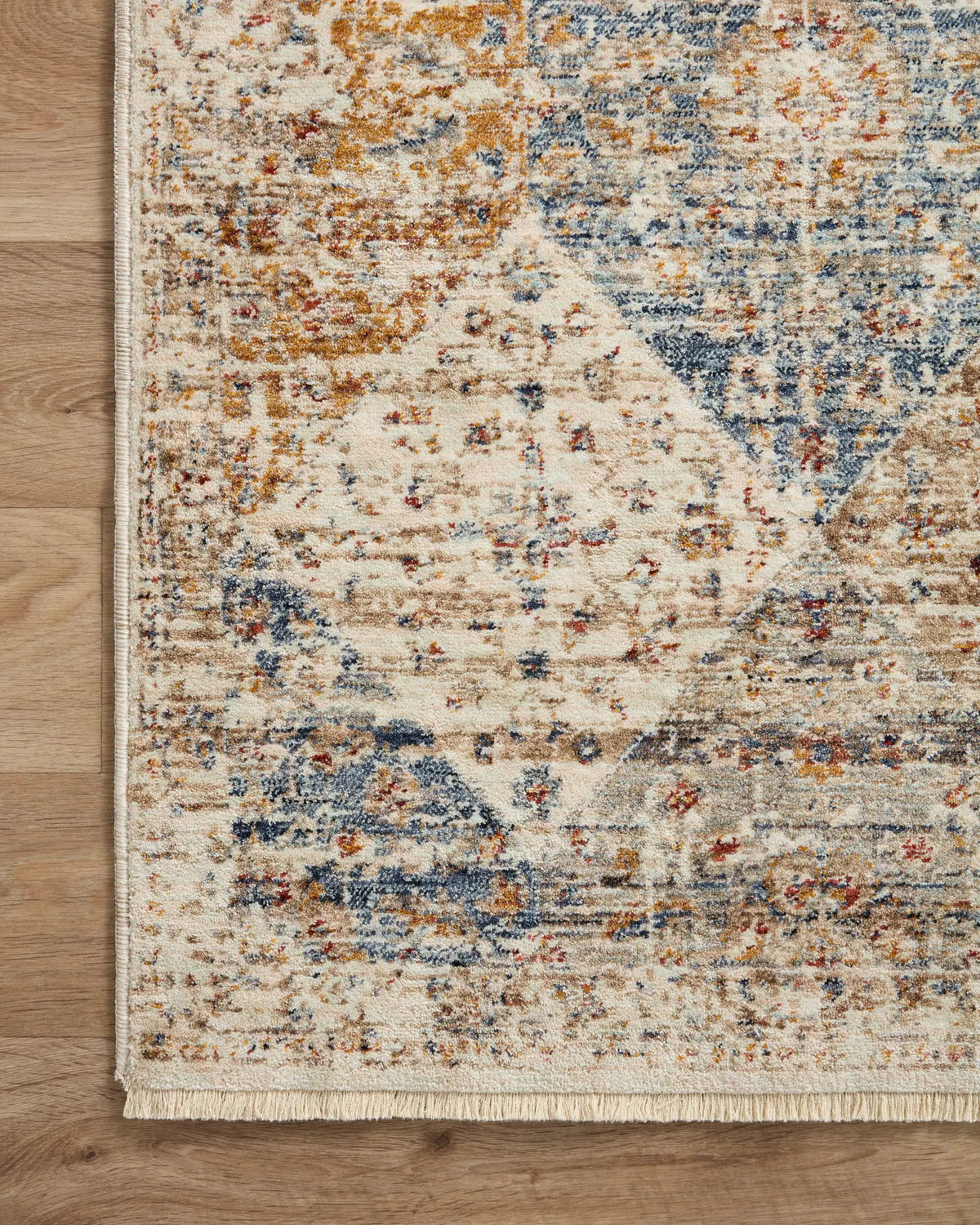Sorrento SOR-02 Ivory / Multi Area Rug by Loloi