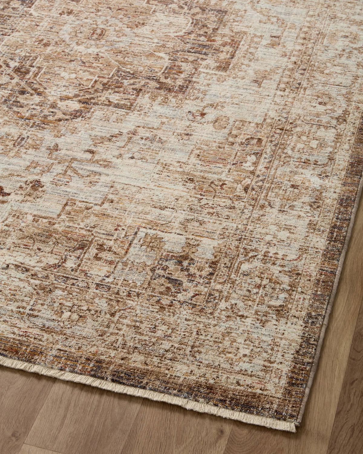 Sorrento SOR-03 Mocha / Multi Area Rug by Loloi
