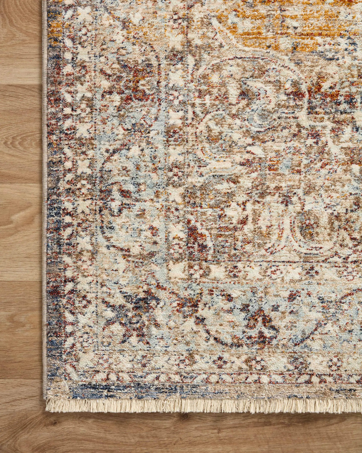 Sorrento SOR-04 Natural / Multi Area Rug by Loloi