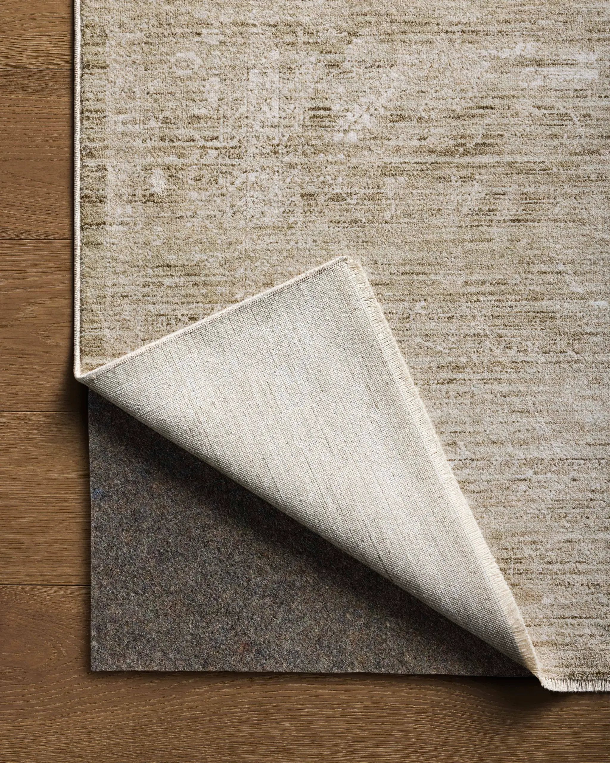 Tabitha TAI-02 Sage / Ivory Area Rug by Loloi