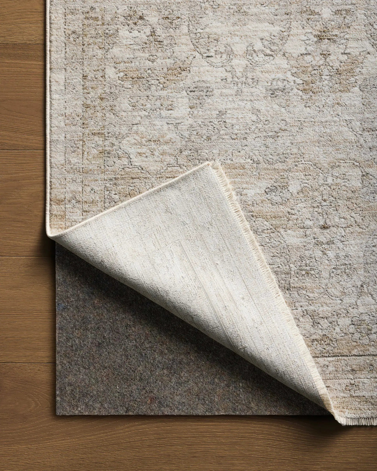 Tabitha TAI-03 Ivory / Khaki Area Rug by Loloi