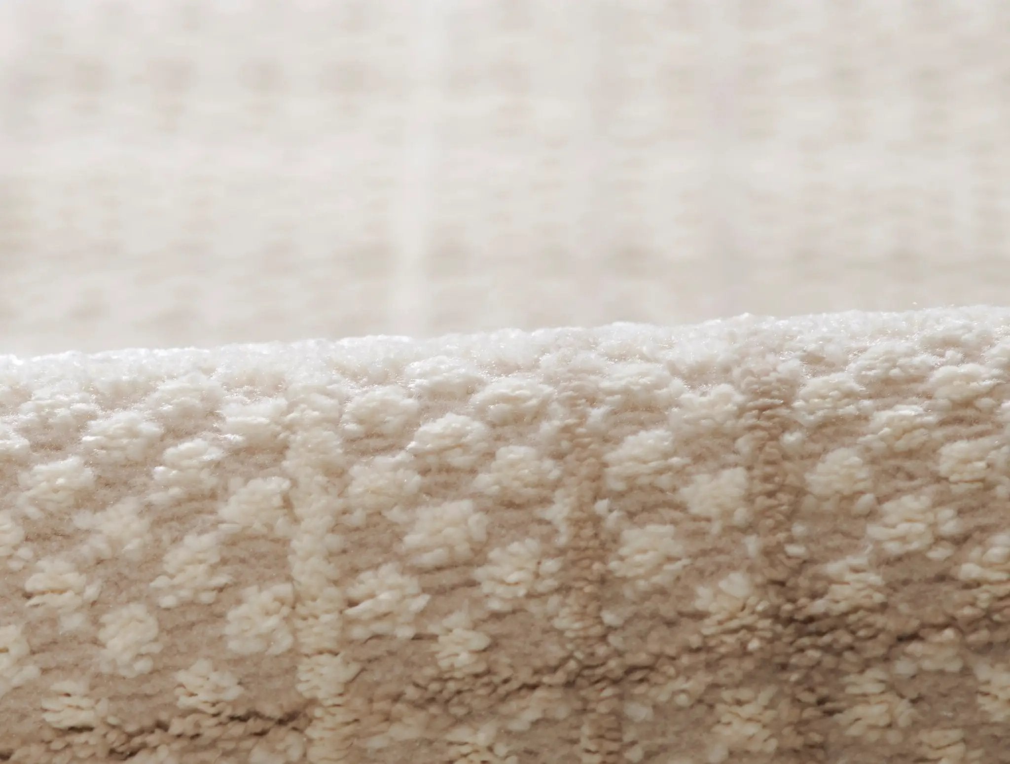 Talia TLI-1 Beige Area Rug by Momeni
