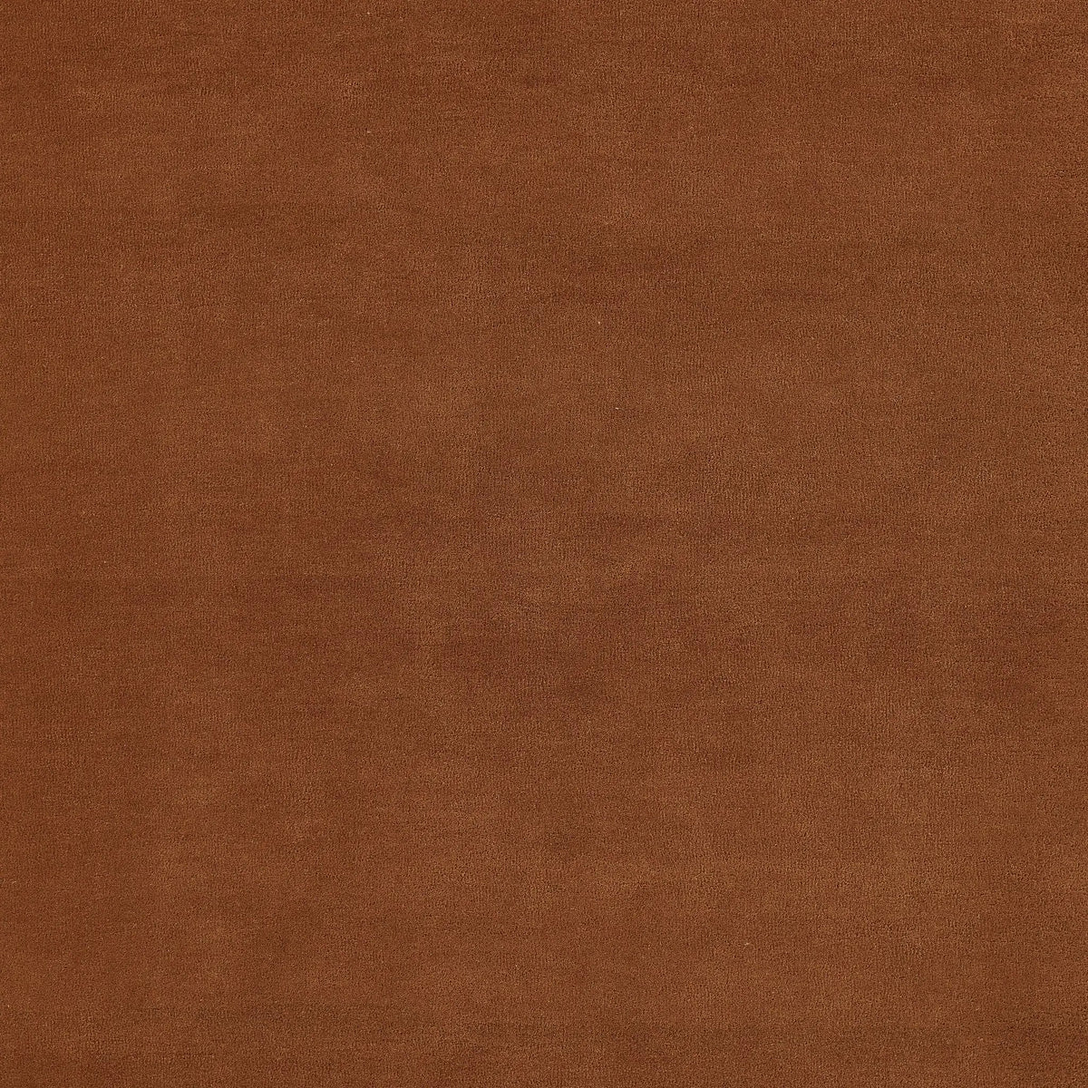 Tallulah TAL-1 Copper Area Rug by Novogratz by Momeni