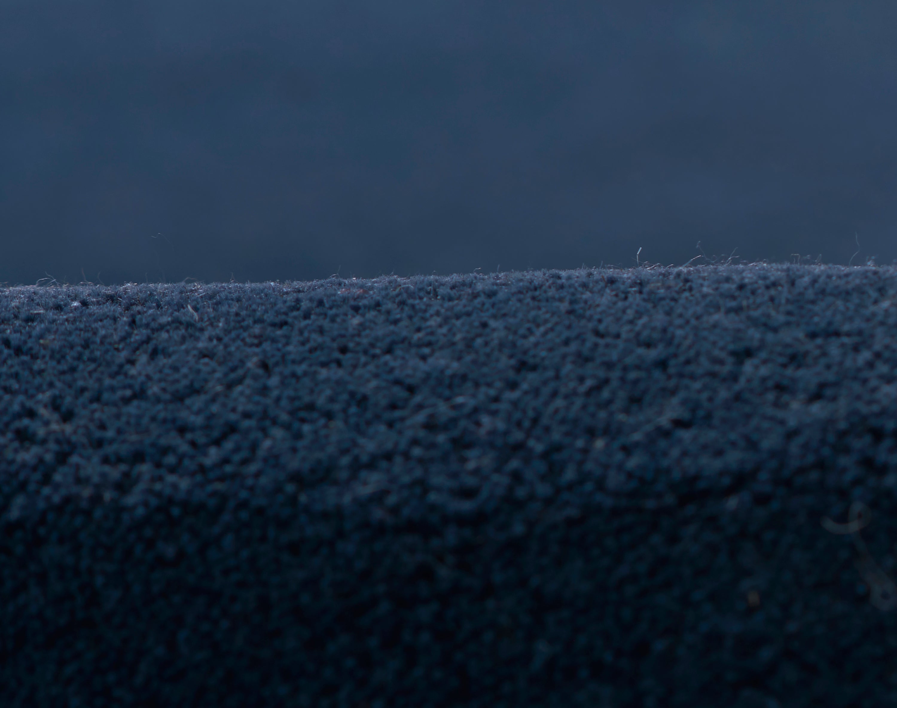 Novogratz Tallulah TAL-1 Navy Area Rug by Momeni