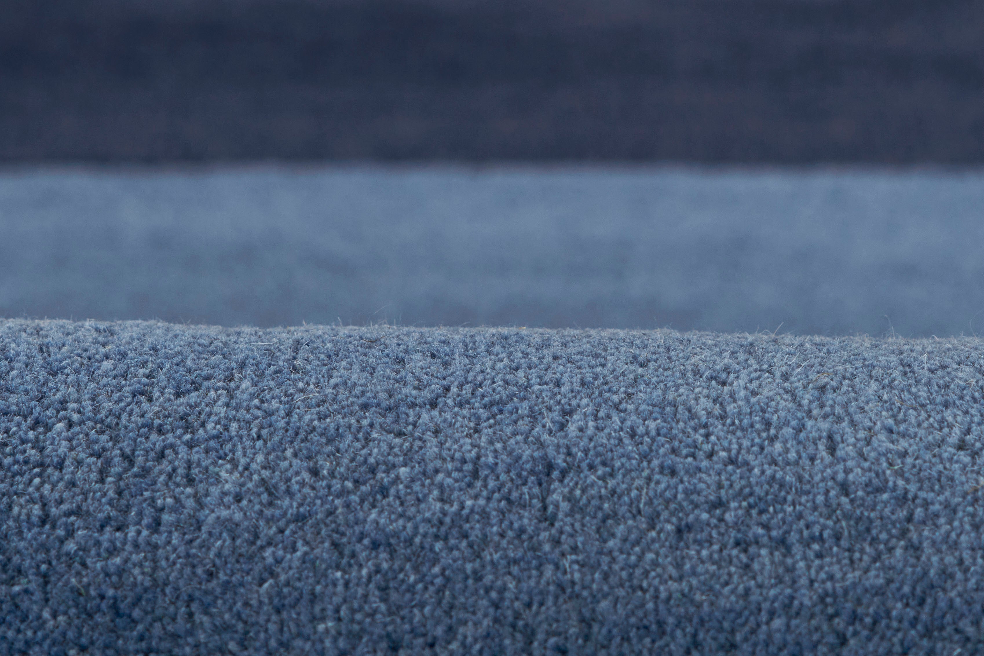 Novogratz Tallulah TAL-2 Blue Area Rug by Momeni