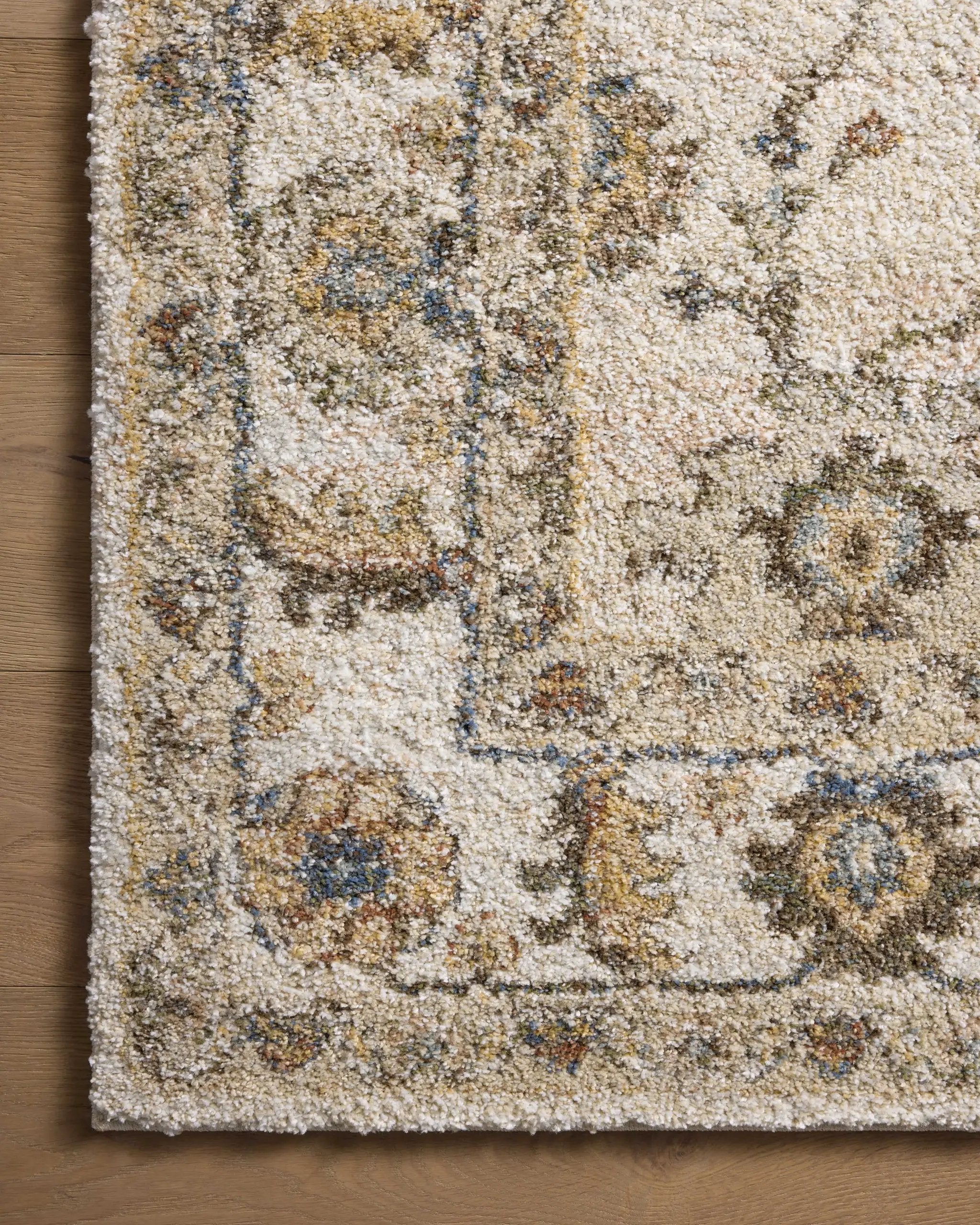 Tamryn TAM-03 Ivory / Multi Area Rug by Loloi