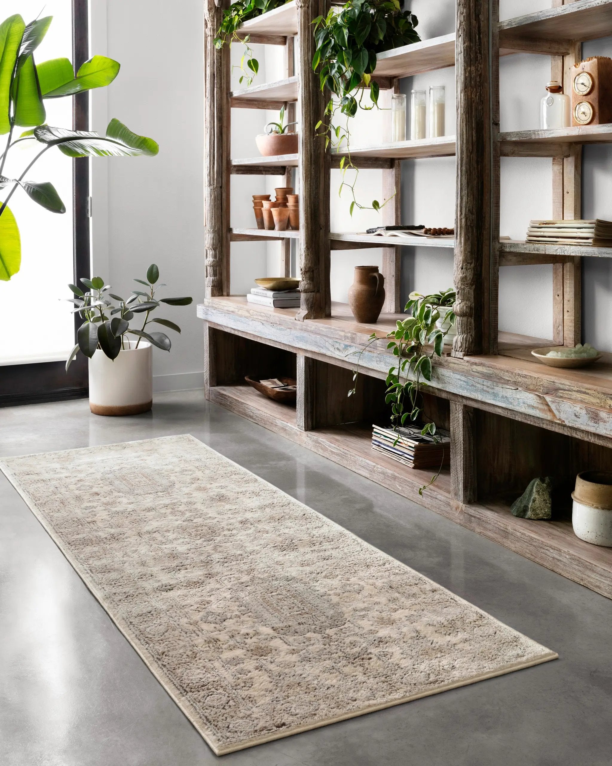 Teagan TEA-03 Ivory / Sand Area Rug by Loloi