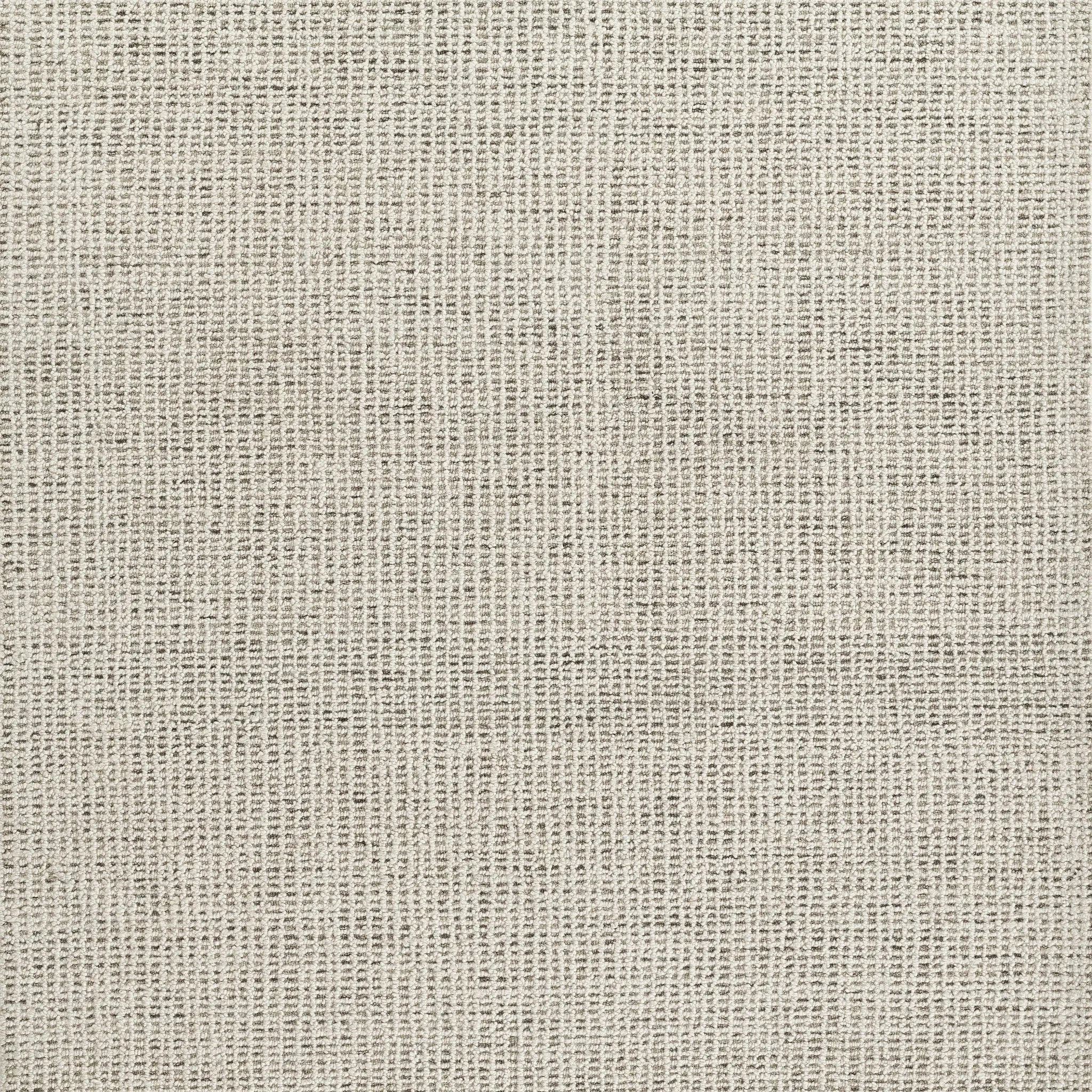 Thomas THM-1 Gray Area Rug by Momeni