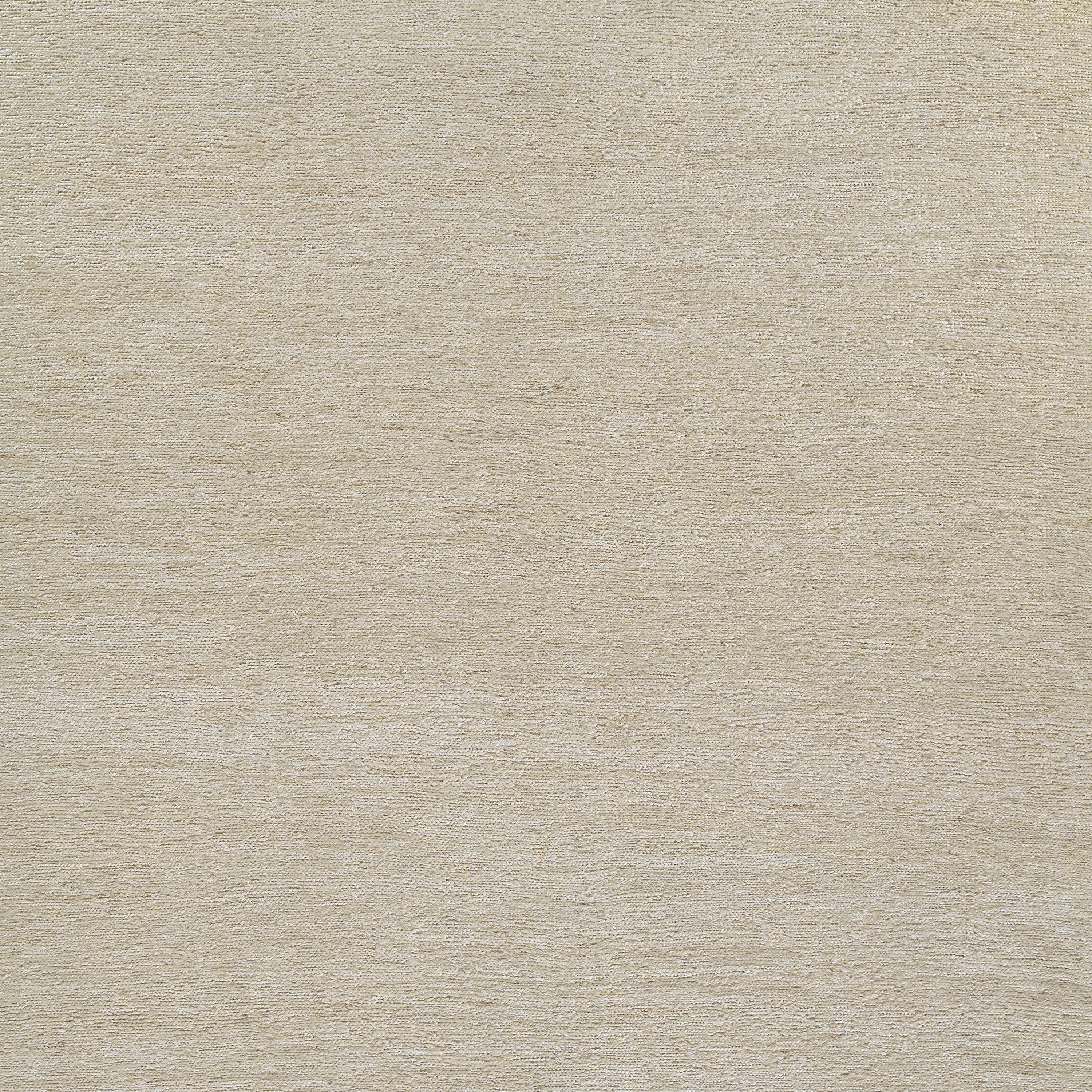 Pure Salt Torquay TOR-1 Ivory Area Rug by Momeni