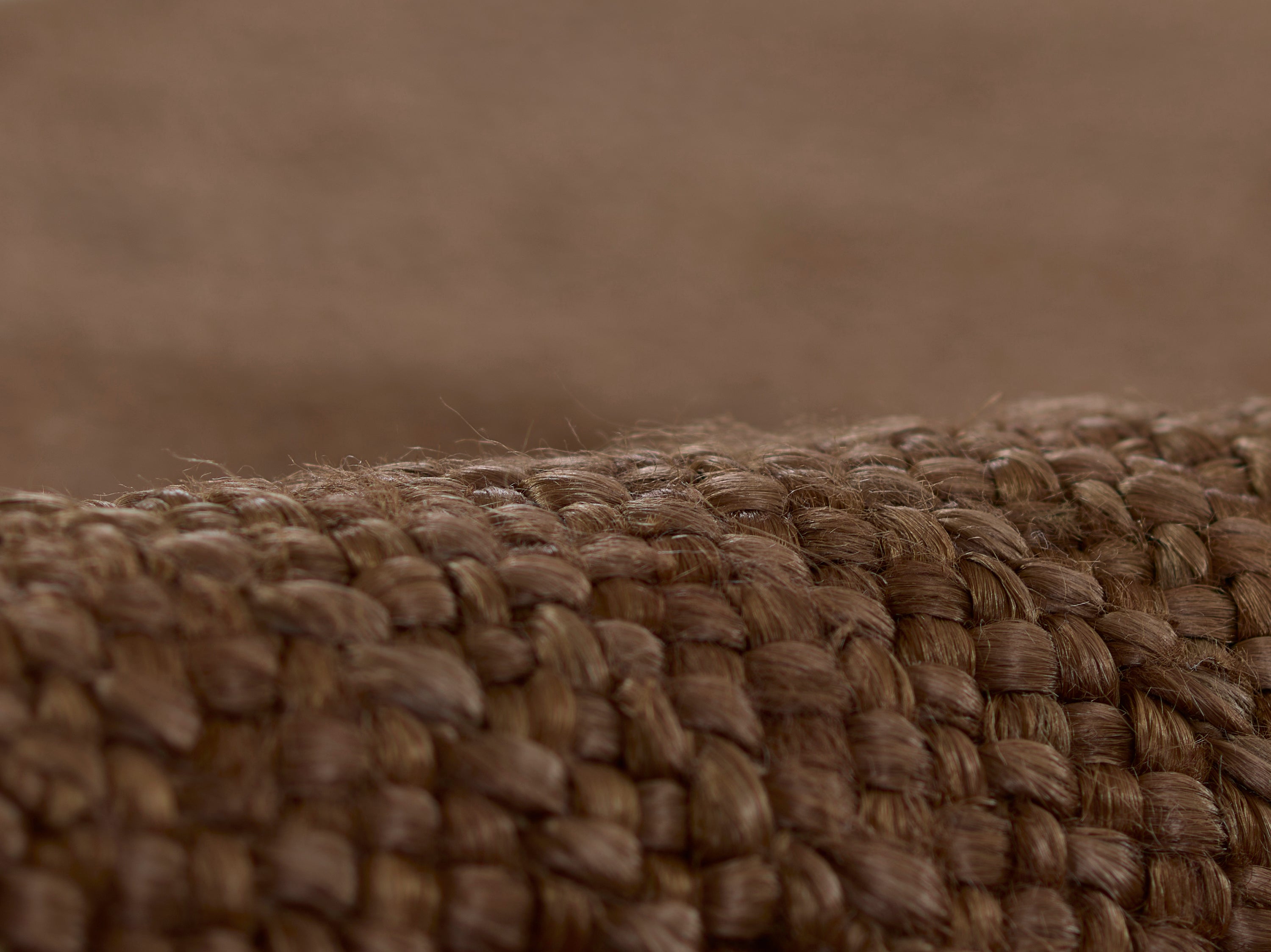 Pure Salt Torquay TOR-1 Walnut Area Rug by Momeni