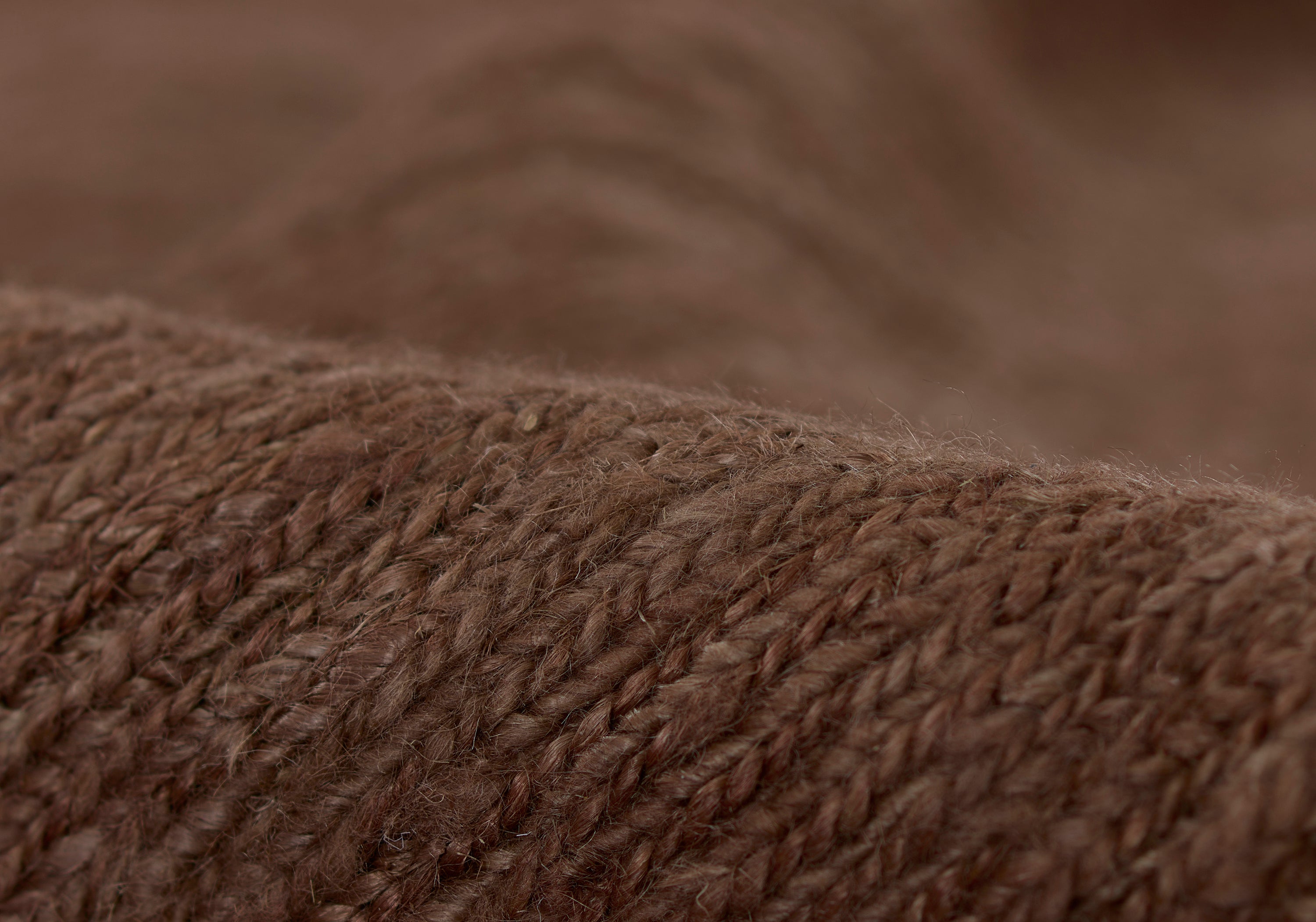 Pure Salt Torquay TOR-1 Walnut Area Rug by Momeni